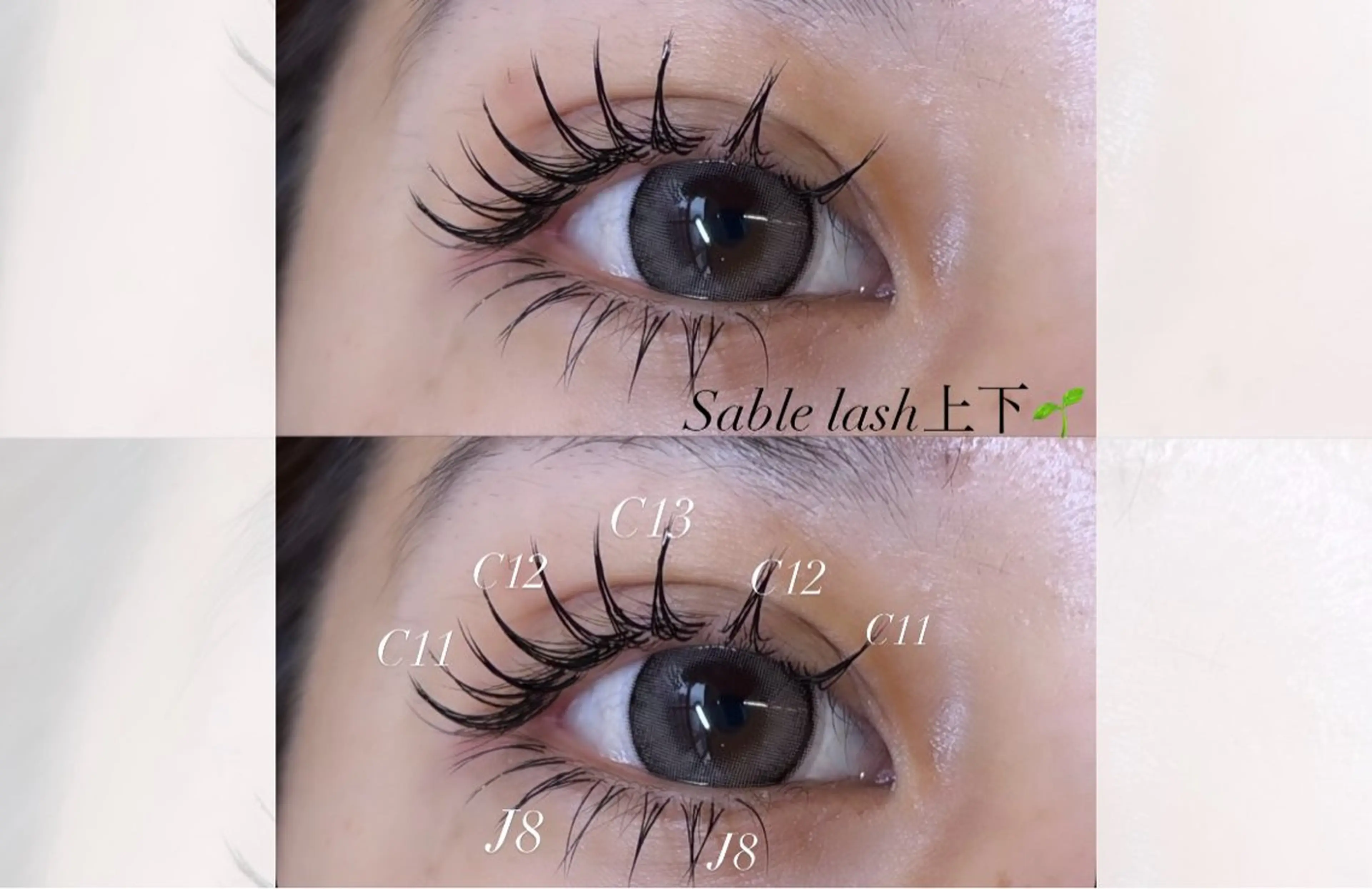 マツエク・マツパ マツエク eyelist 福原のマツエク・マツパデザイン