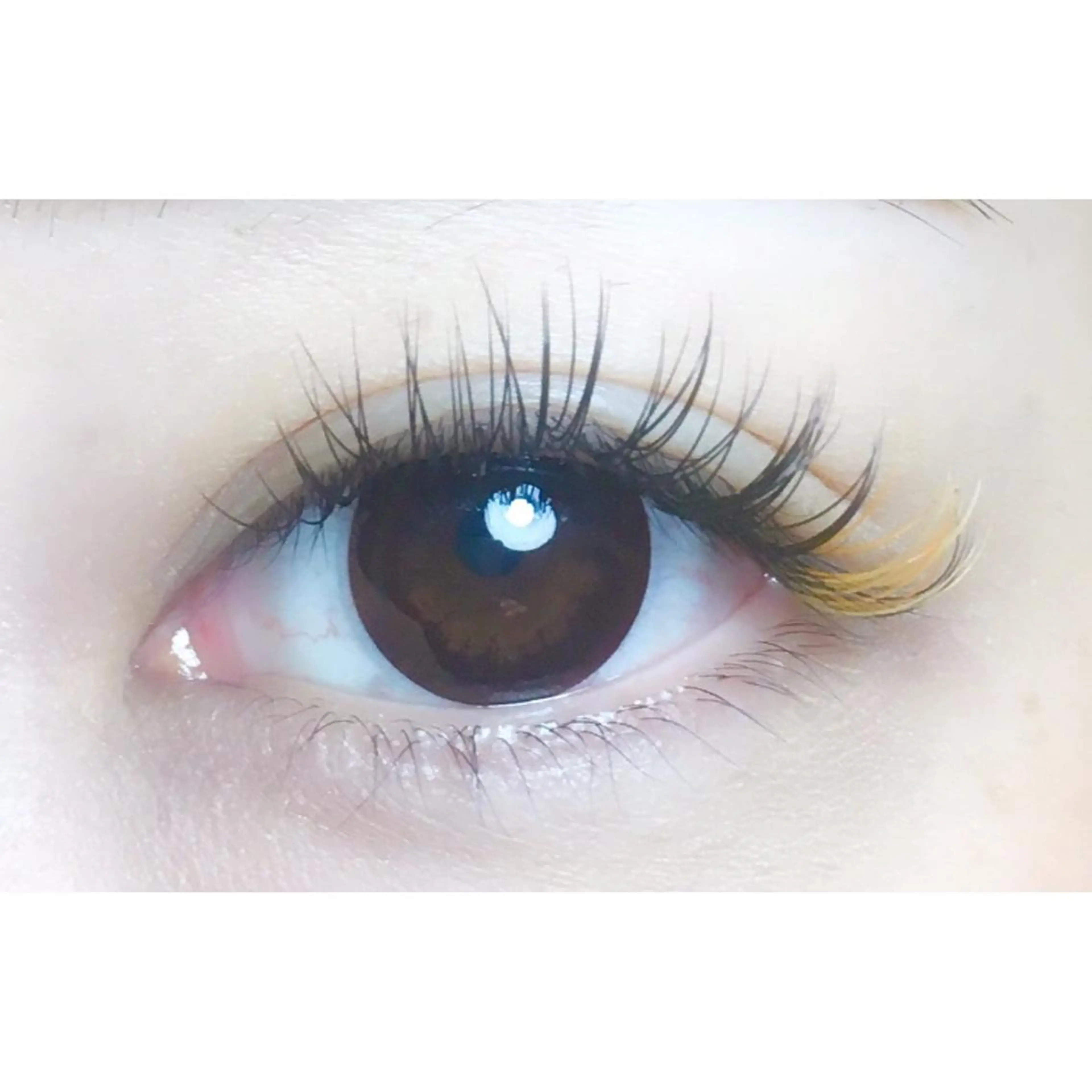 マツエク・マツパ merry eyelashのマツエク・マツパデザイン