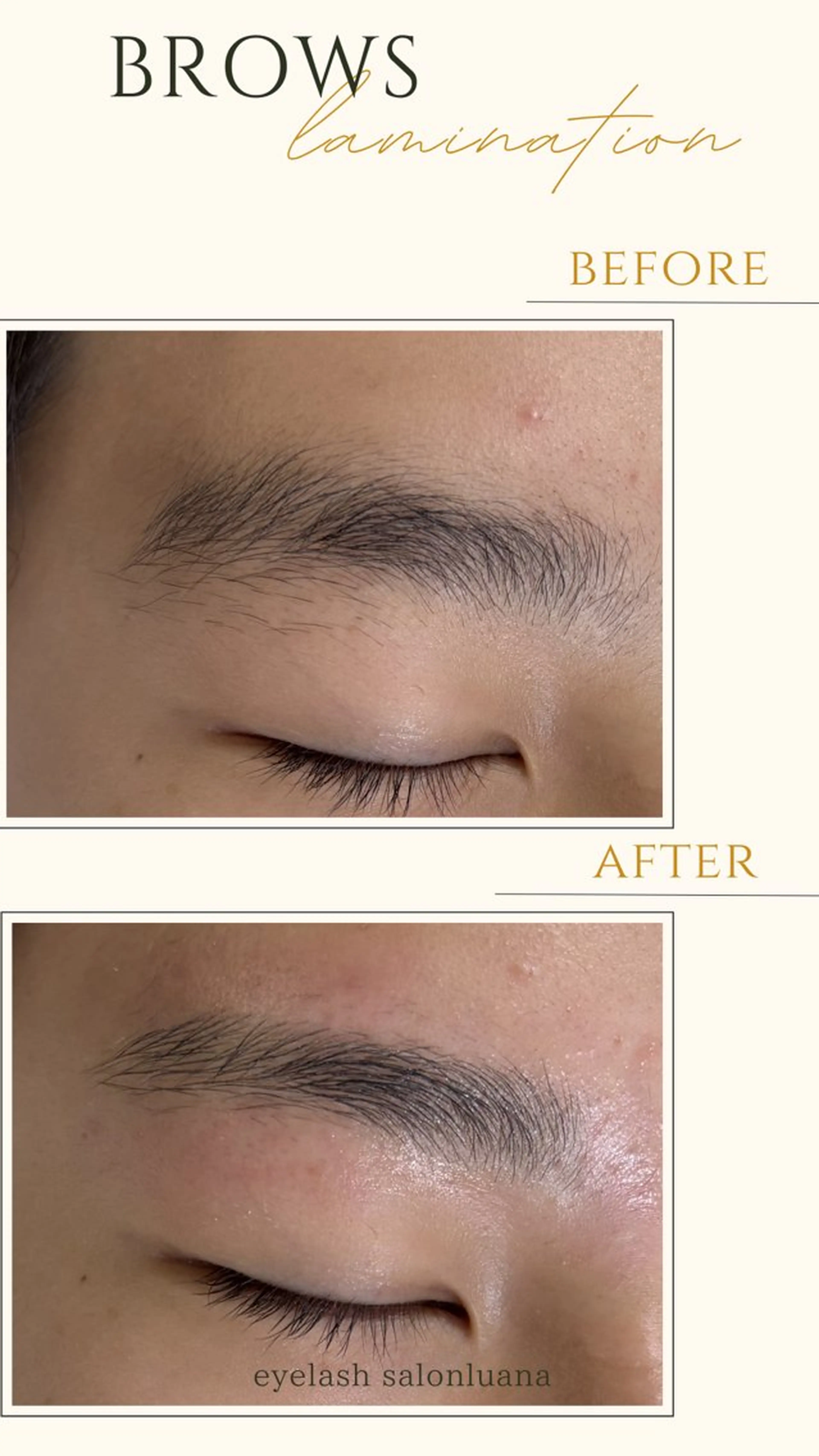 アイブロウ ワックス脱毛 その他(アイブロウ) eyelash salon luana所属・luana _manaのマツエク・マツパデザイン