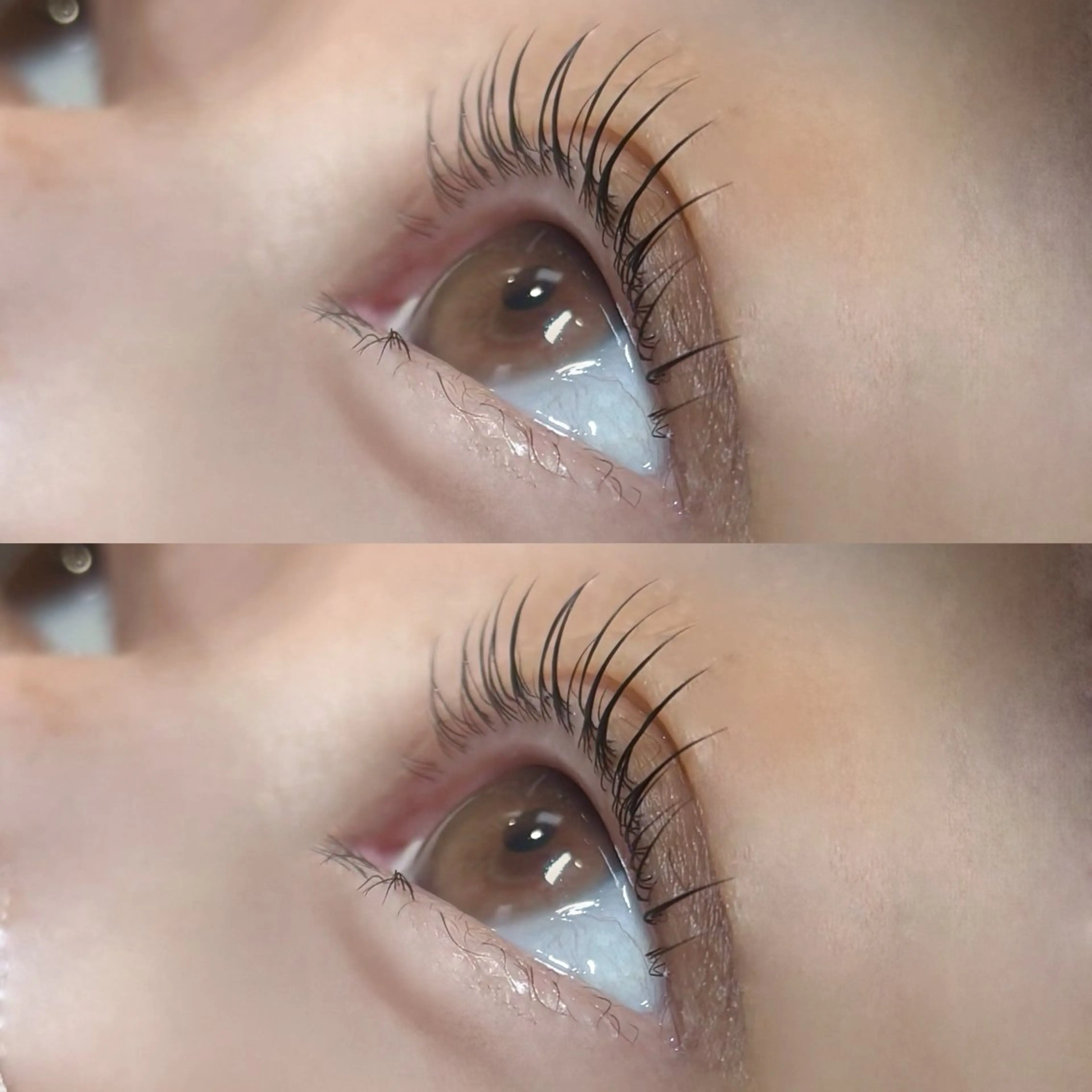 マツエク・マツパ Lupines Asahi🔆のマツエク・マツパデザイン