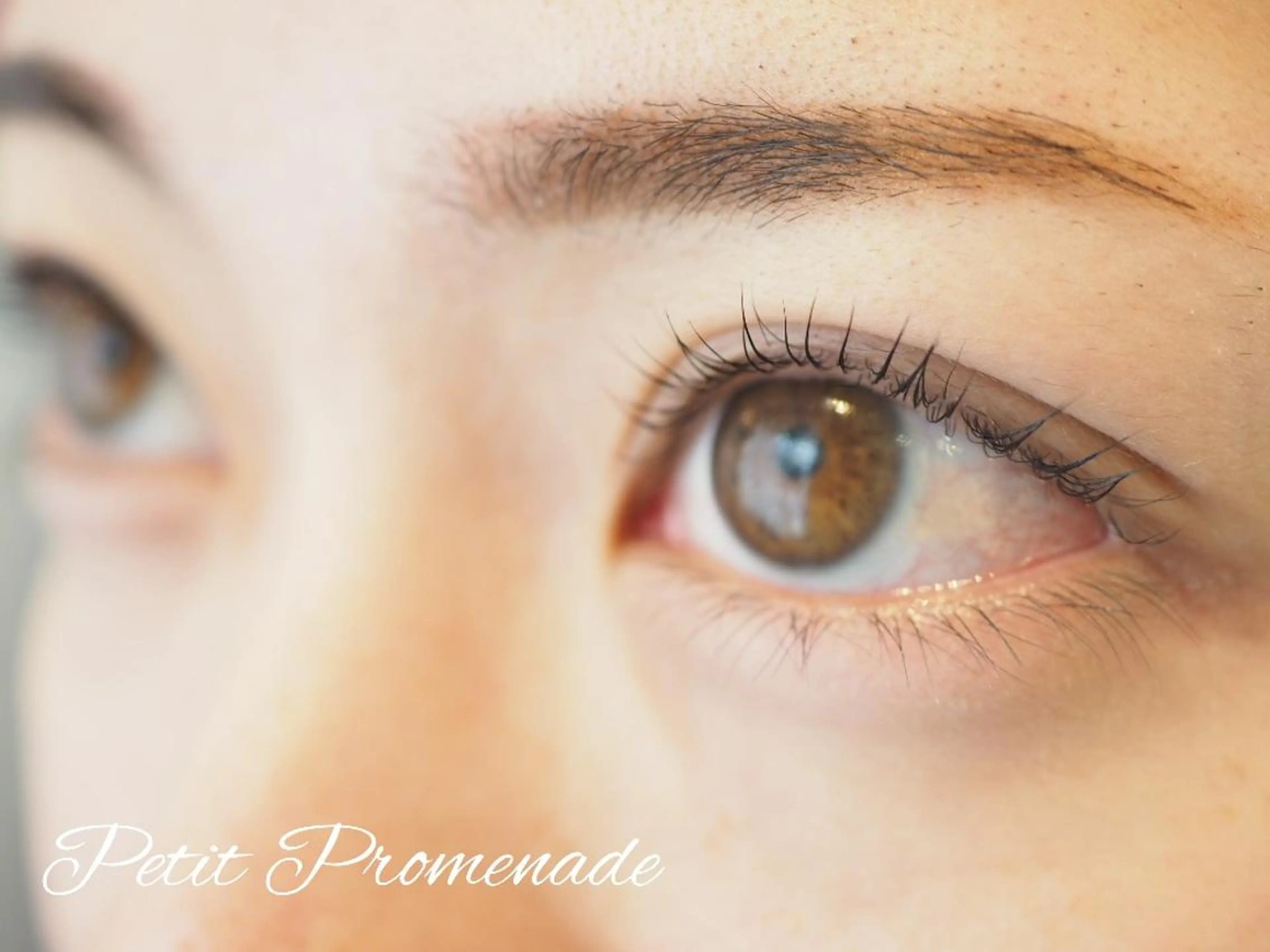 マツエク・マツパ マツパ MIZUKI （アイリスト）のマツエク・マツパデザイン