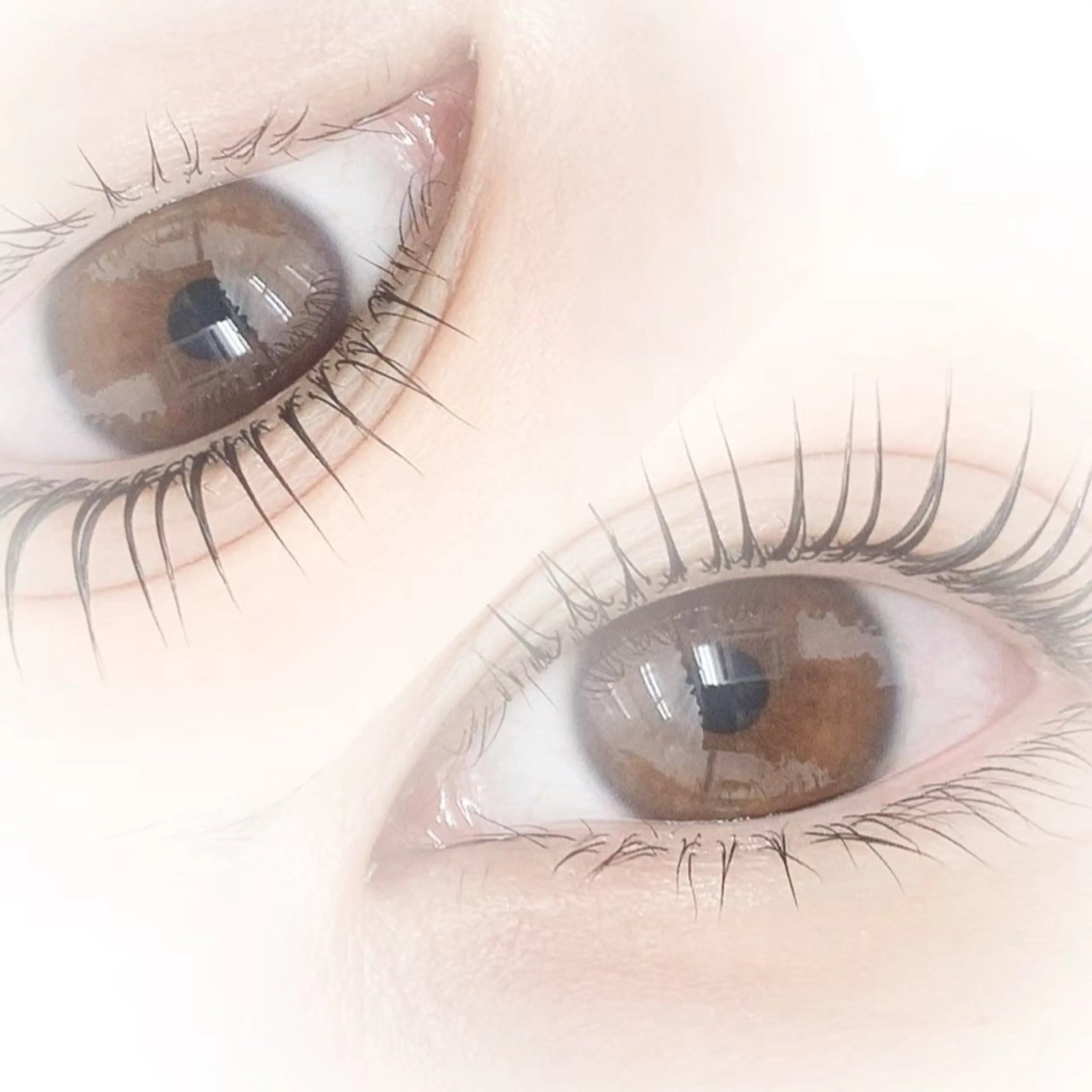 【12月限定クーポン♪】まつげパーマ＊パリジェンヌ7,000円⇒4500円✨✨の写真