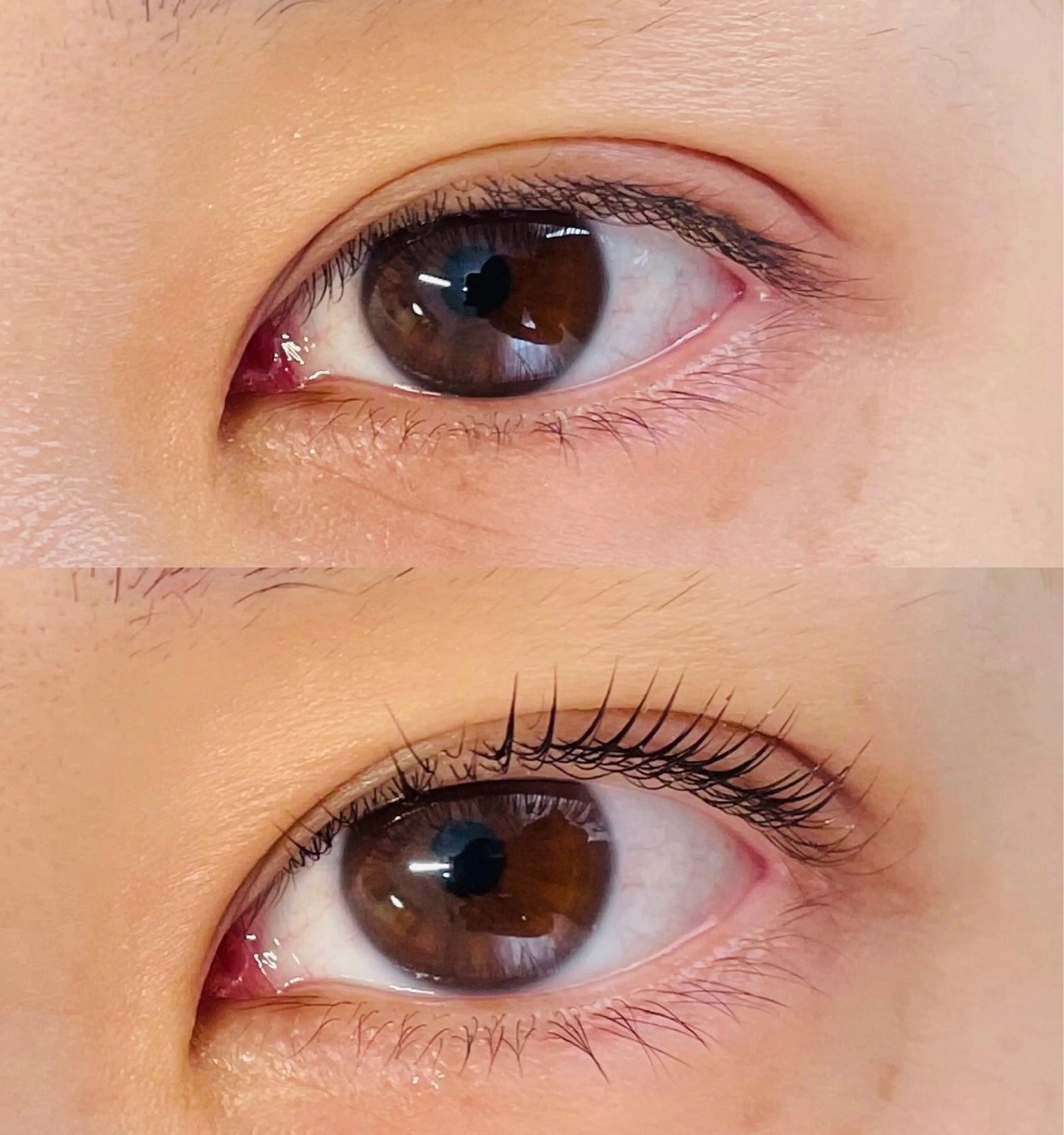 マツエク・マツパ アトリエ ネッコのヘアスタイル