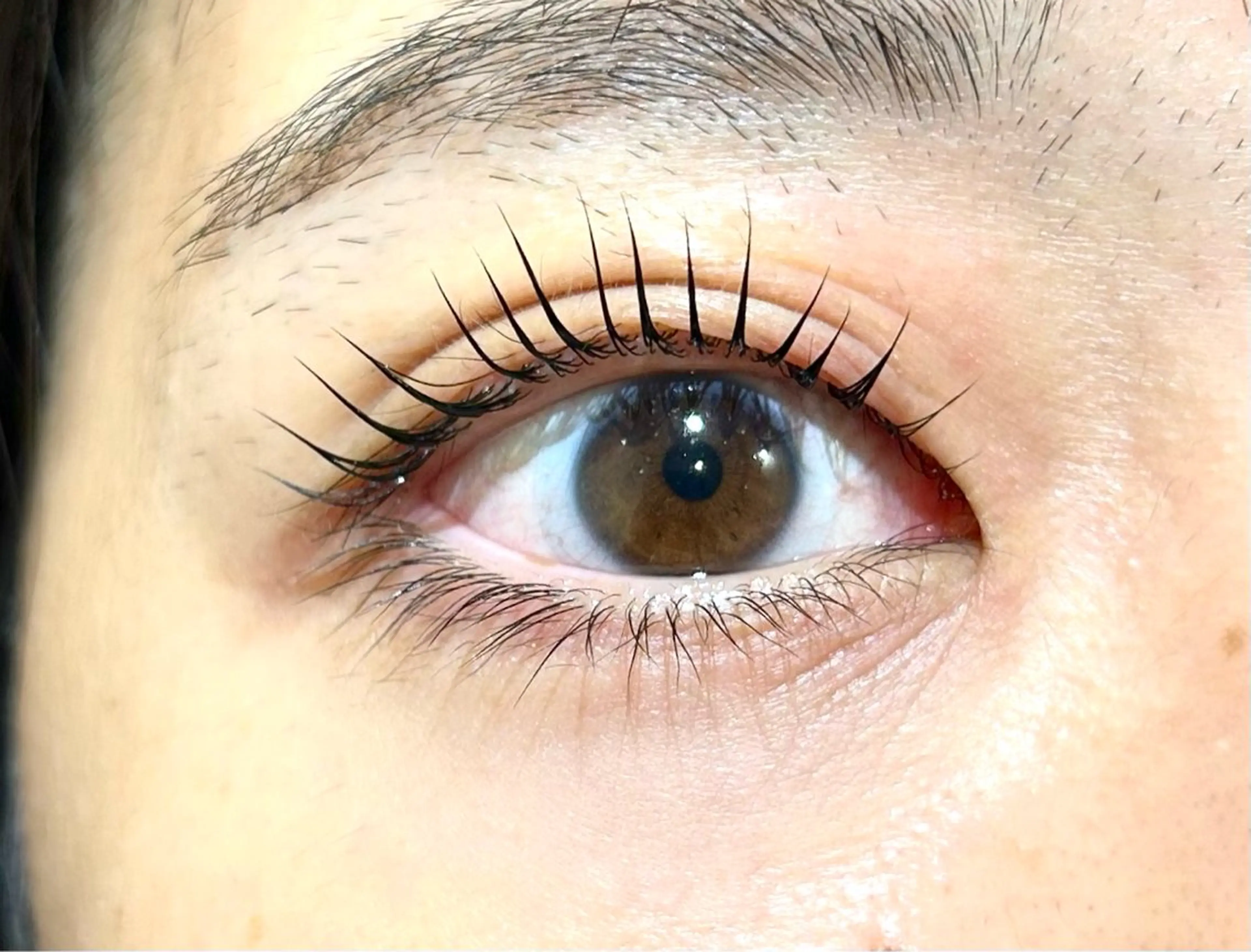 マツエク・マツパ パリジェンヌラッシュリフト petitchou eyelashの眉毛・アイブロウイメージ