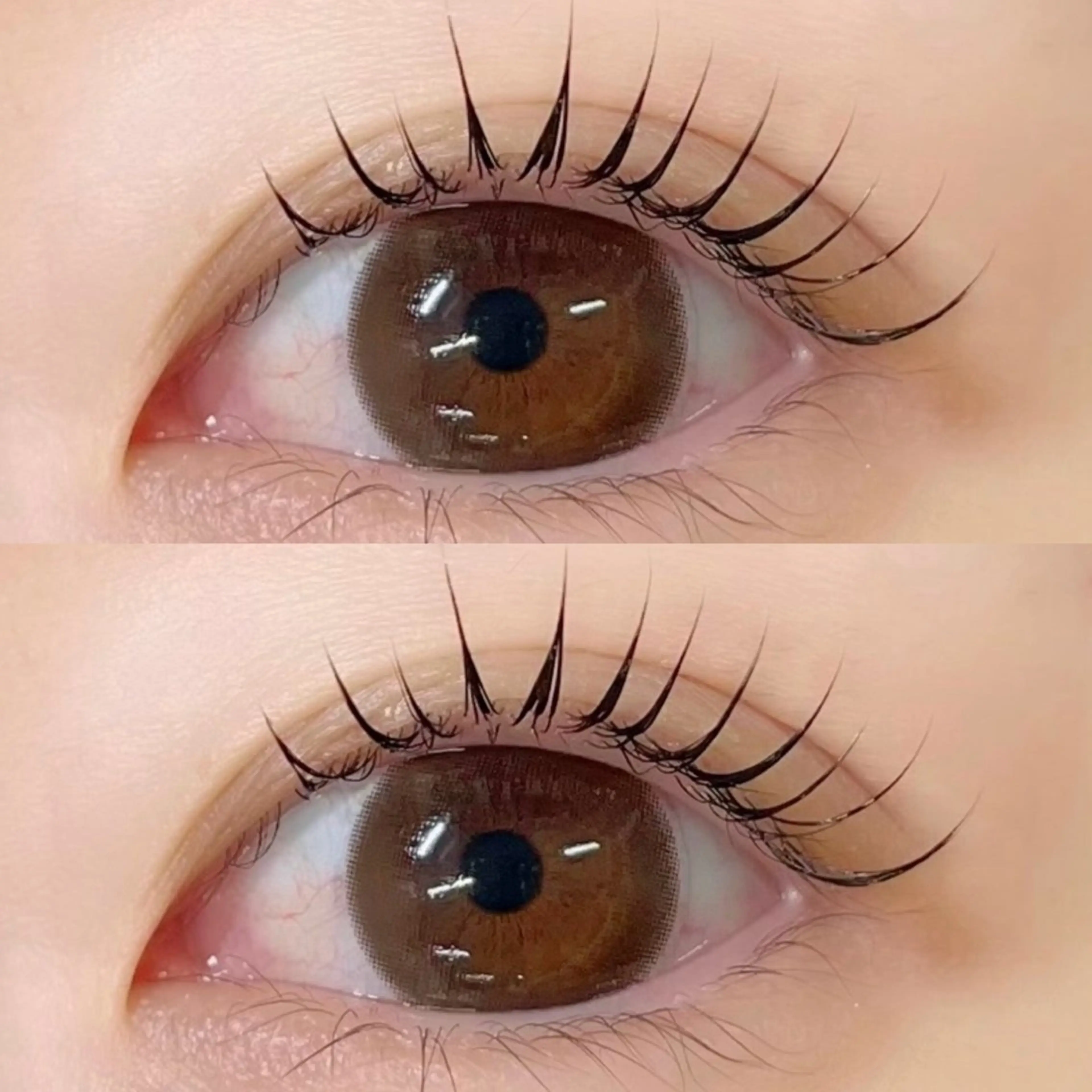 【ご新規様minimo限定価格🤍✨】まつげパーマ、パリジェンヌ、メーテル、韓国パーマ🎀の写真