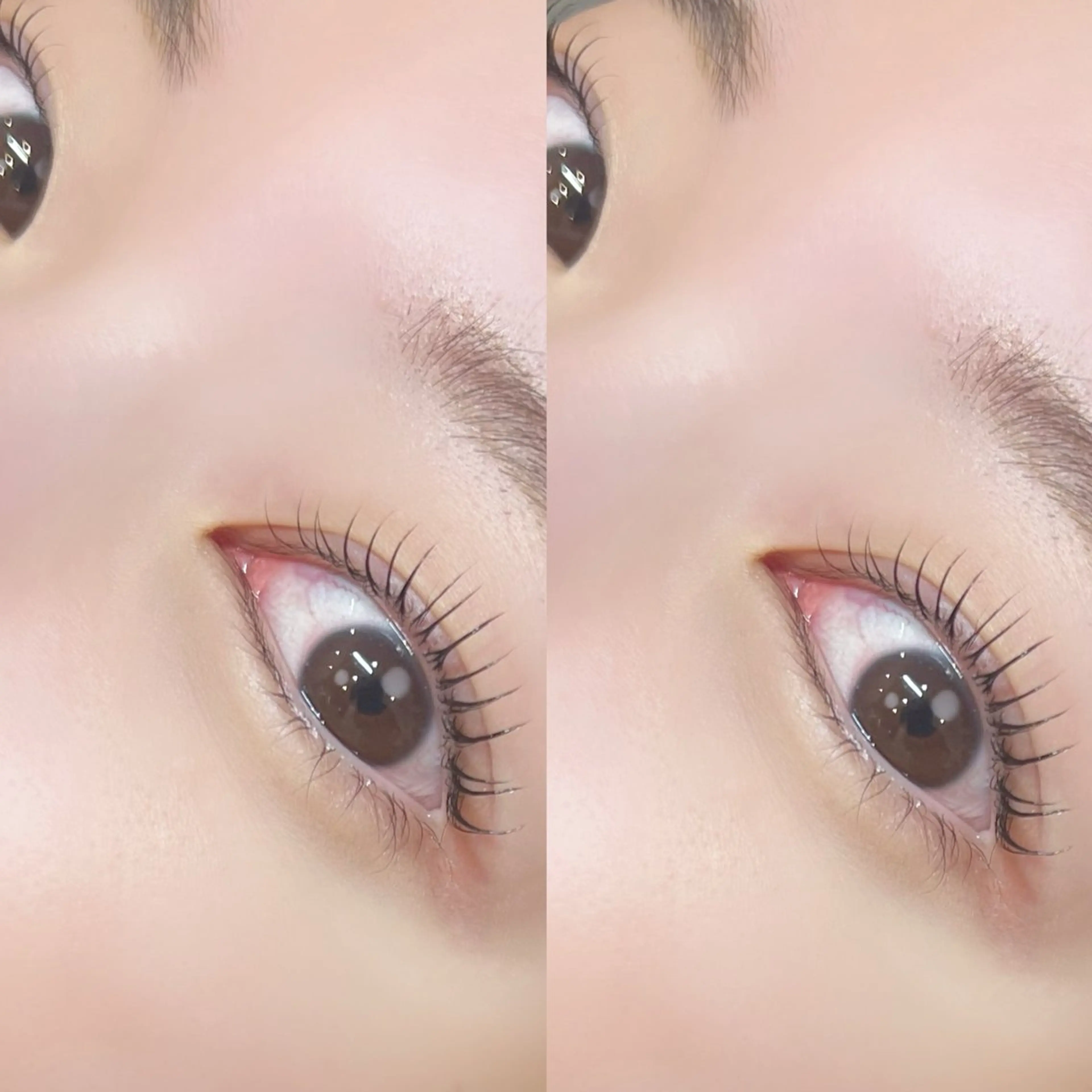 新規 選べるまつ毛パーマ or パリジェンヌ 保湿トリートメント付きの写真