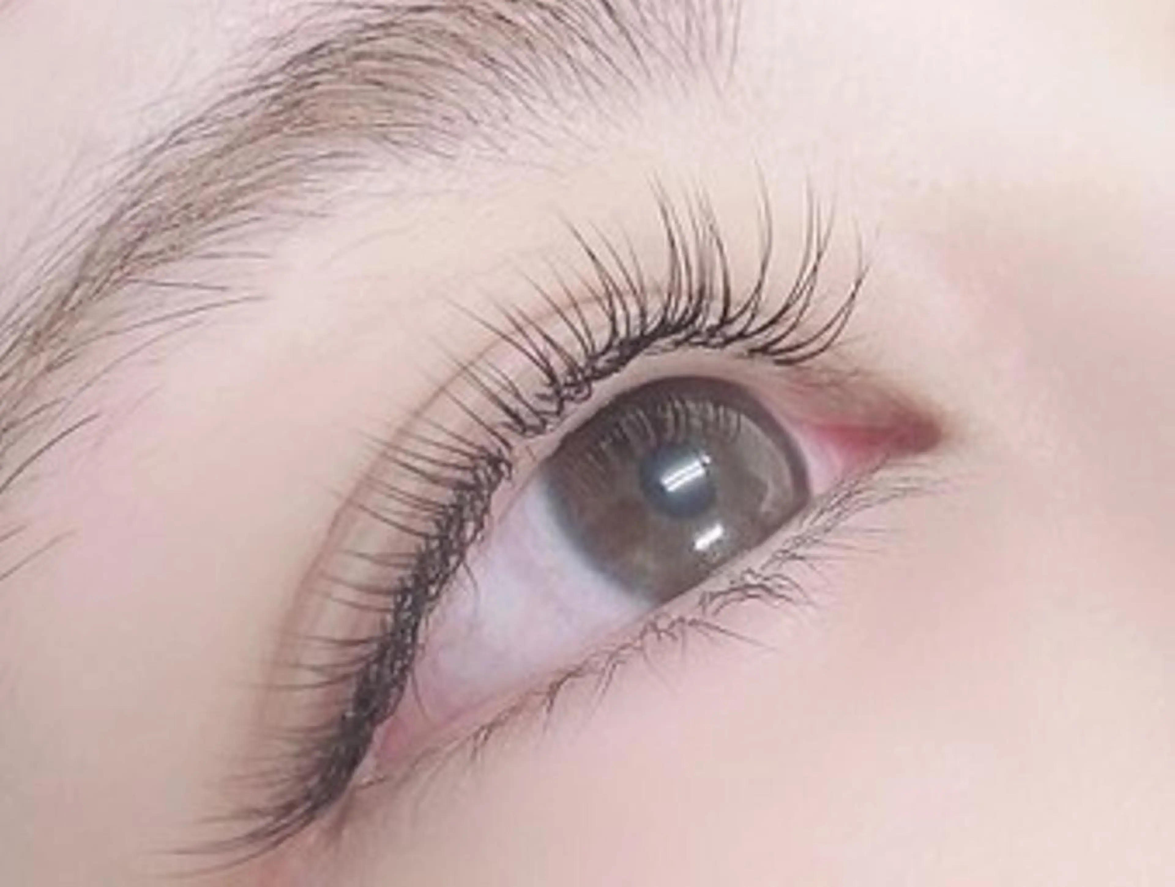 フラットラッシュ　付け放題の写真