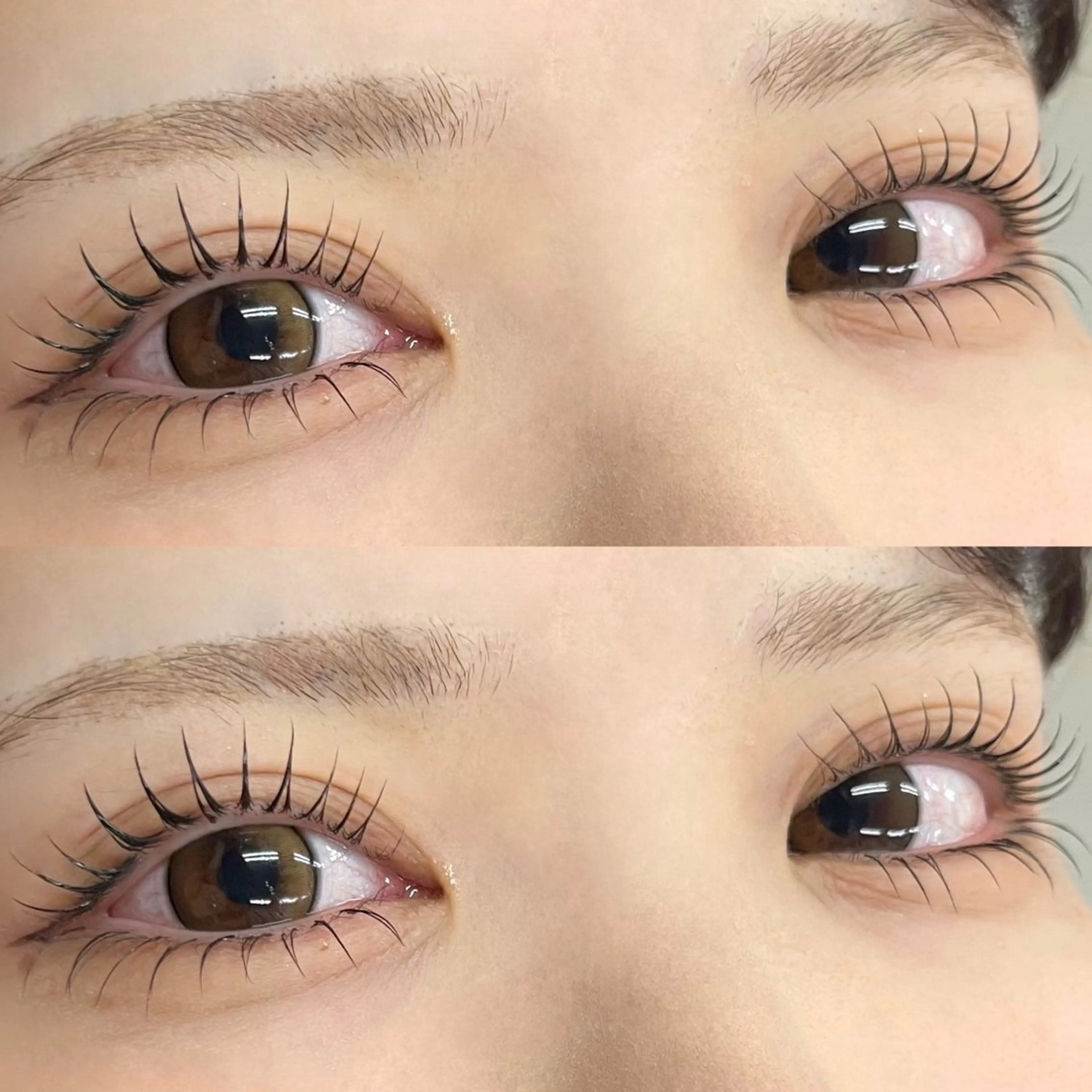 🇰🇷SNSで話題🇰🇷マスカラパーマ(コスメラッシュリフト➕ブラックティント)の写真