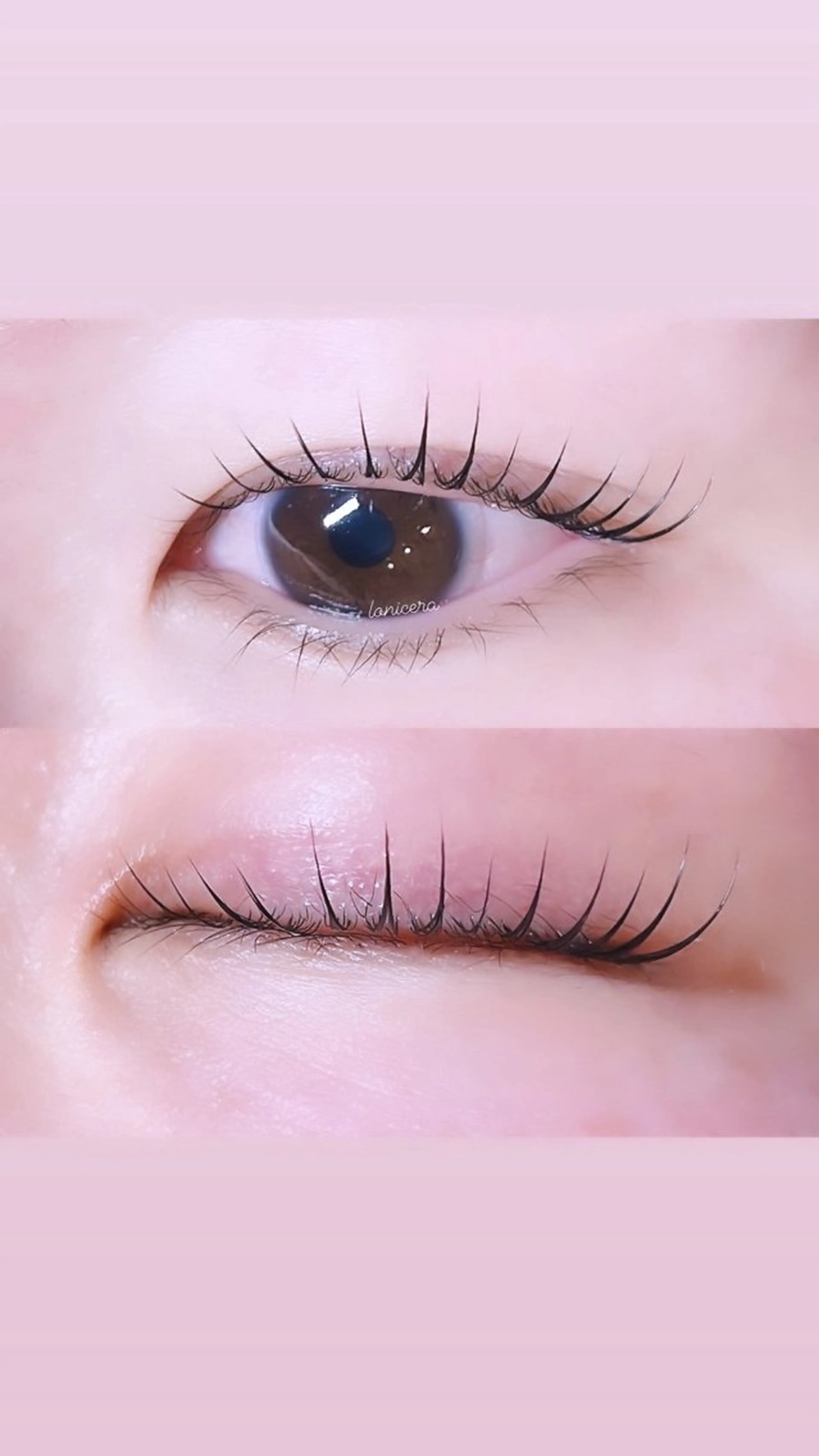 マツエク・マツパ 韓国風マツエク 一重×まつ毛パーマ ロニセラ アイラッシュのマツエク・マツパデザイン