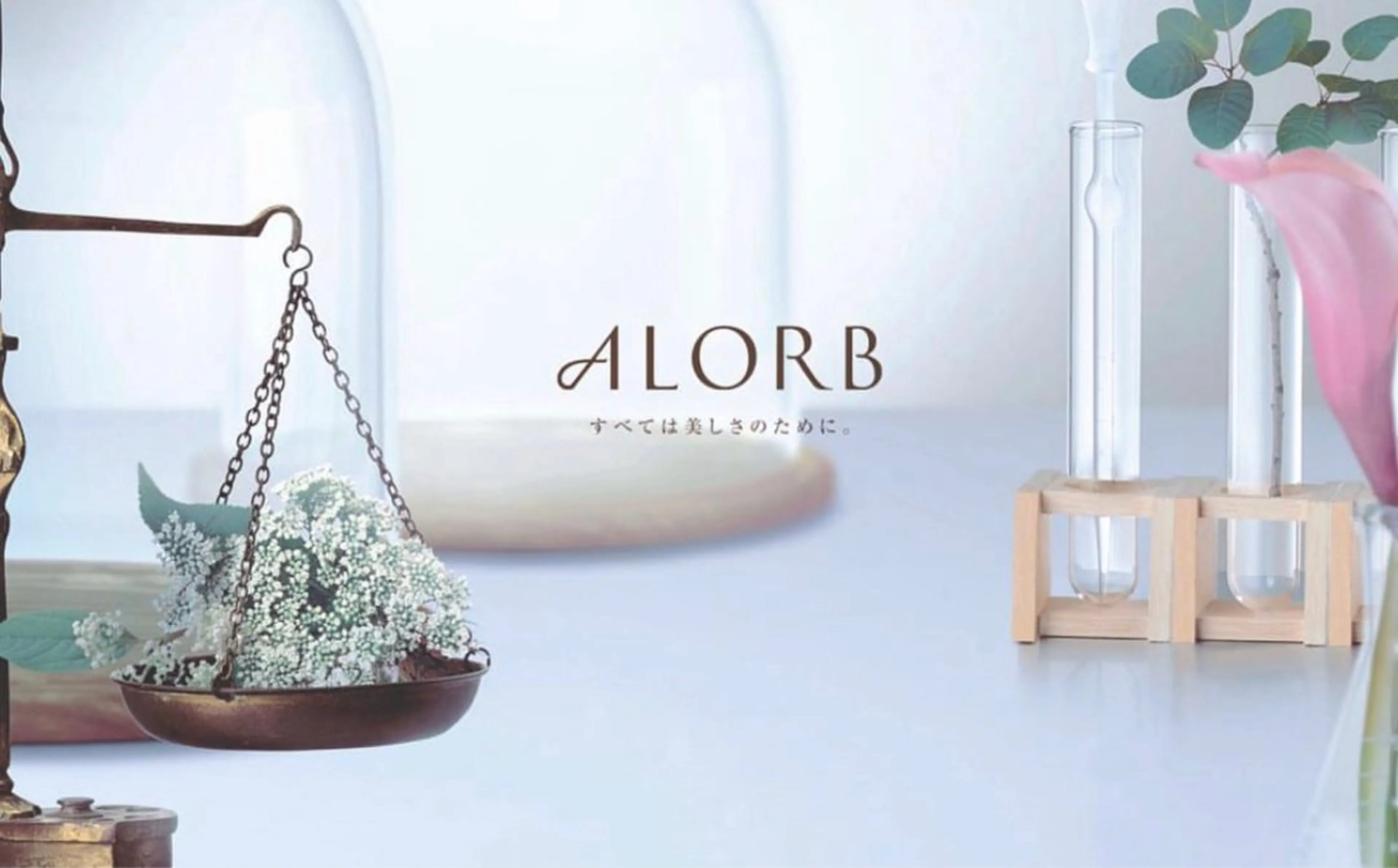 トリートメント ヘッドスパ 髪質改善カラー🤍 エクステ✨君島由実子のヘアスタイル