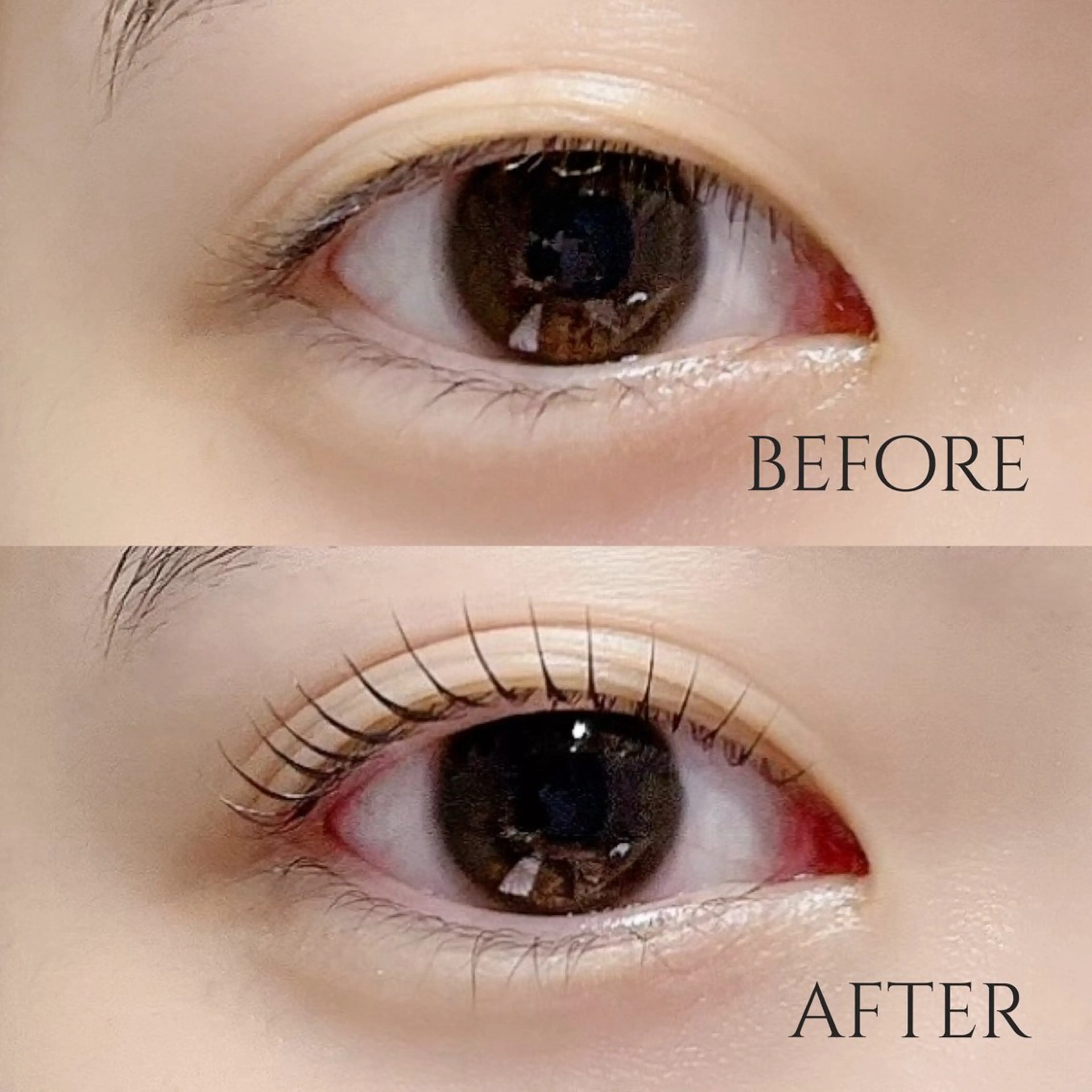 マツエク・マツパ MOMOE 恵比寿 まつげパーマのマツエク・マツパデザイン