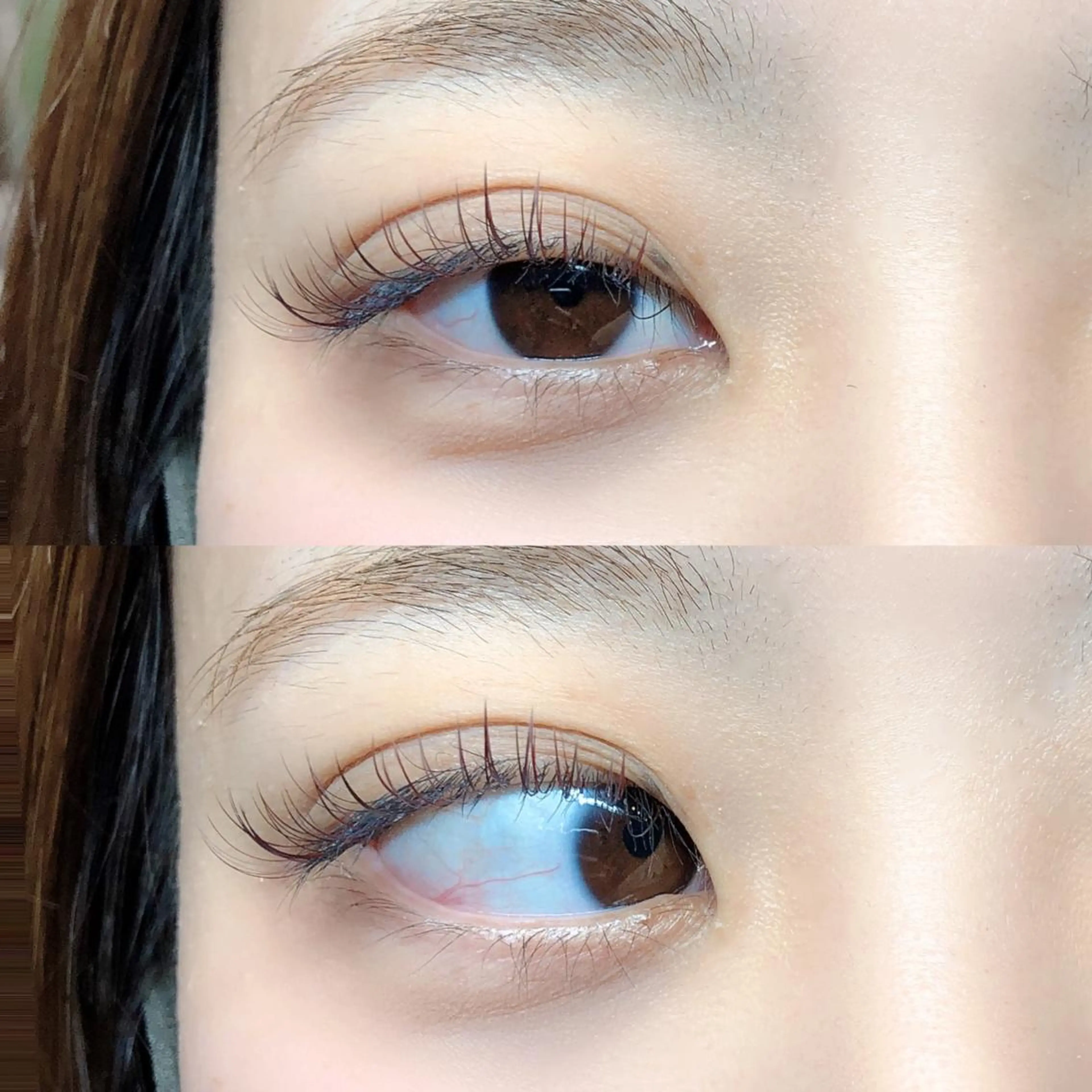 ご予約前に記載事項をお読み下さい🌱🌿　フラットマットラッシュ120本の写真