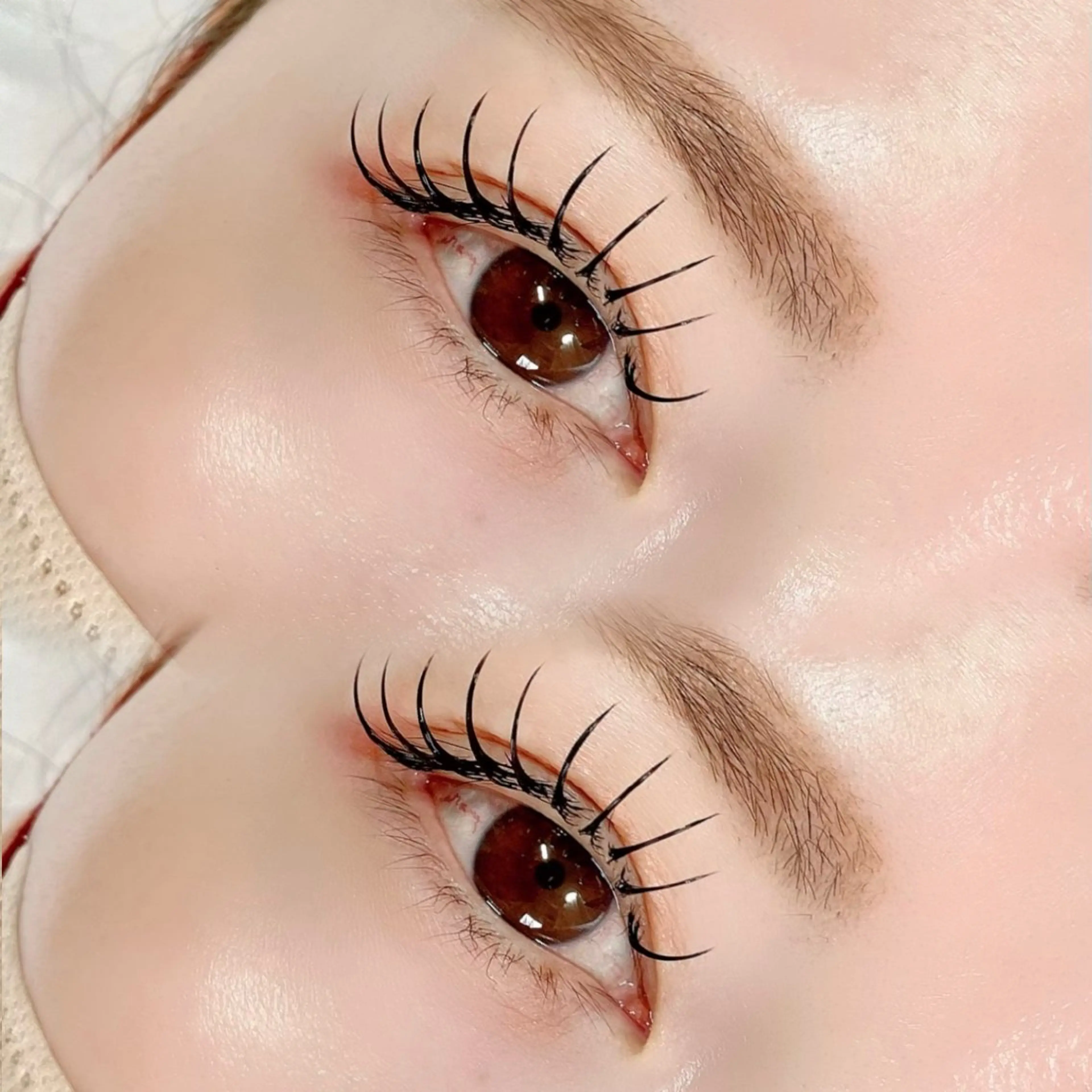 LEDマツエク×まつげパーマ(エクパ)160本(オフ込)¥11,000の写真