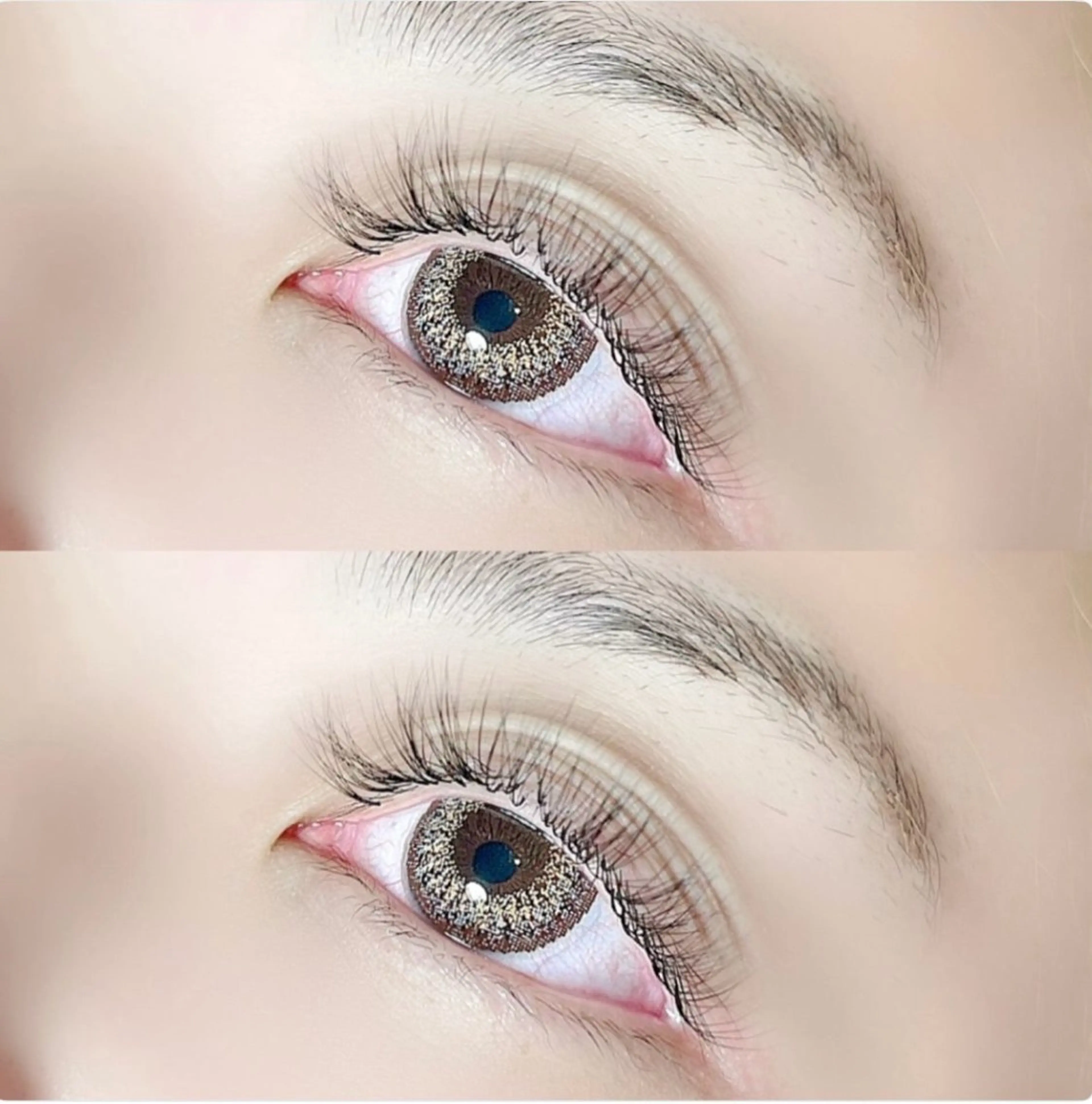 限定🕯ボリュームラッシュ🕯【総数300本】練習モデル🤍の写真