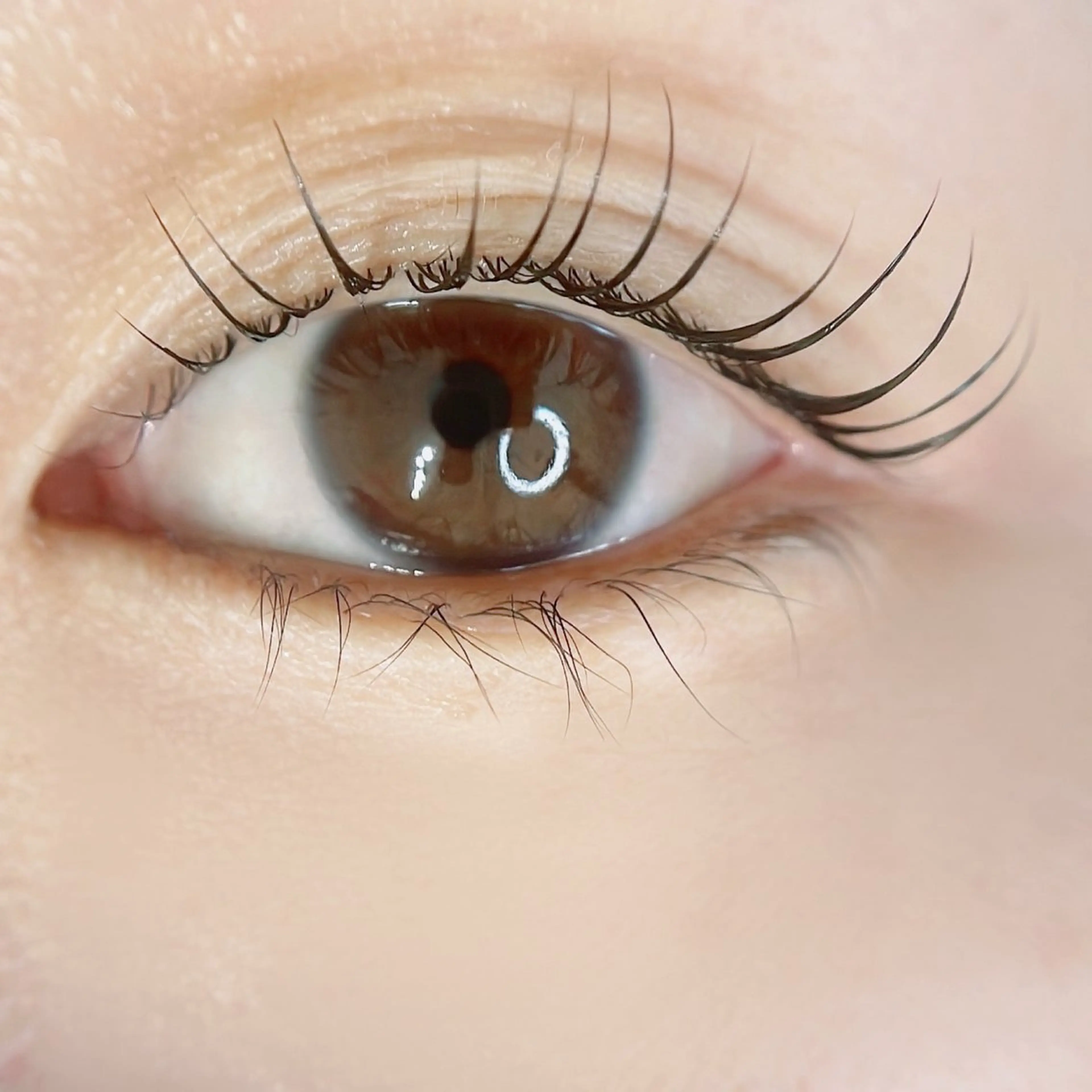 マツエク・マツパ マツパ Emil eye roomのマツエク・マツパデザイン