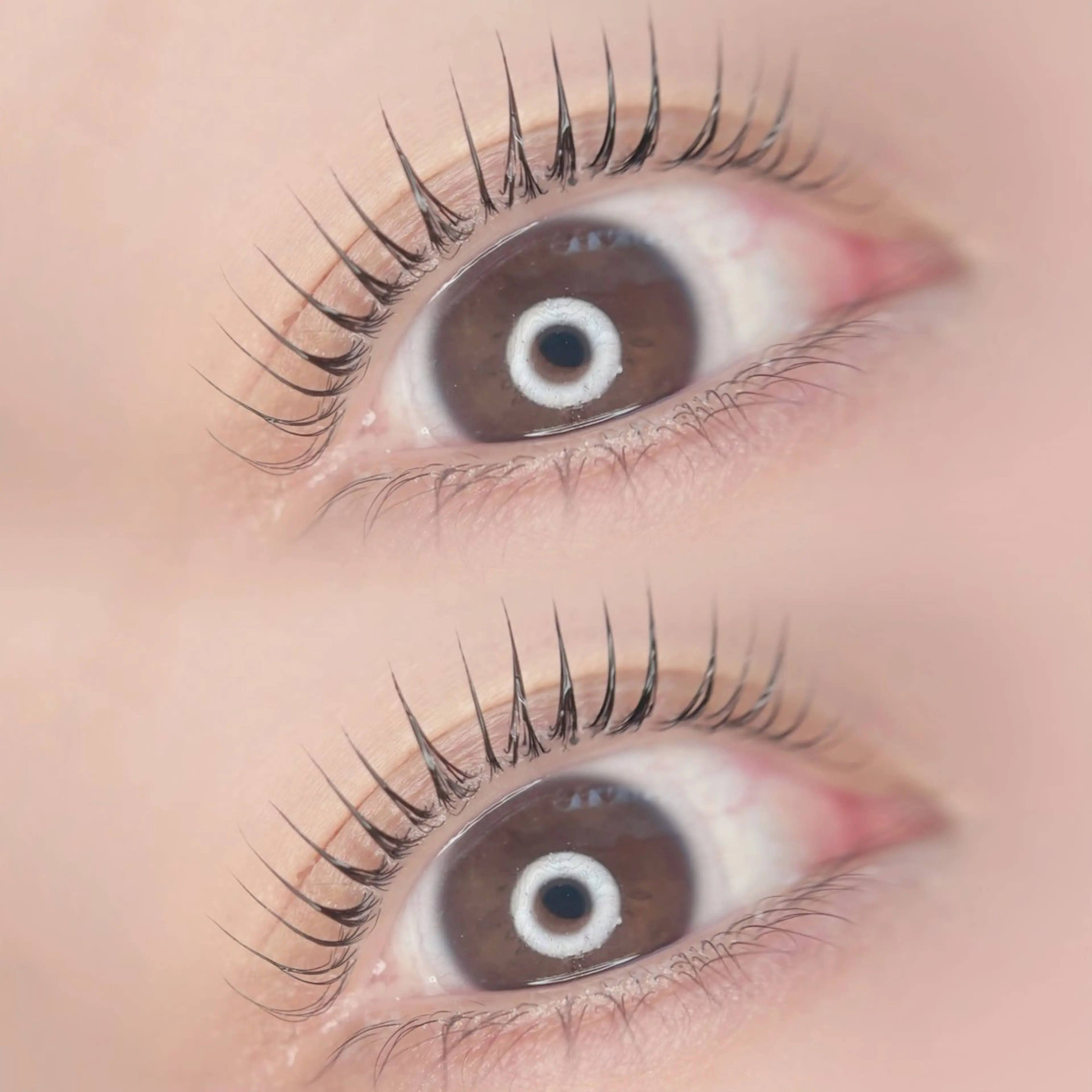 マツエク・マツパ 束感まつ毛 マツパ 🦋MaaZlash 南流山FUKA🤍のマツエク・マツパデザイン