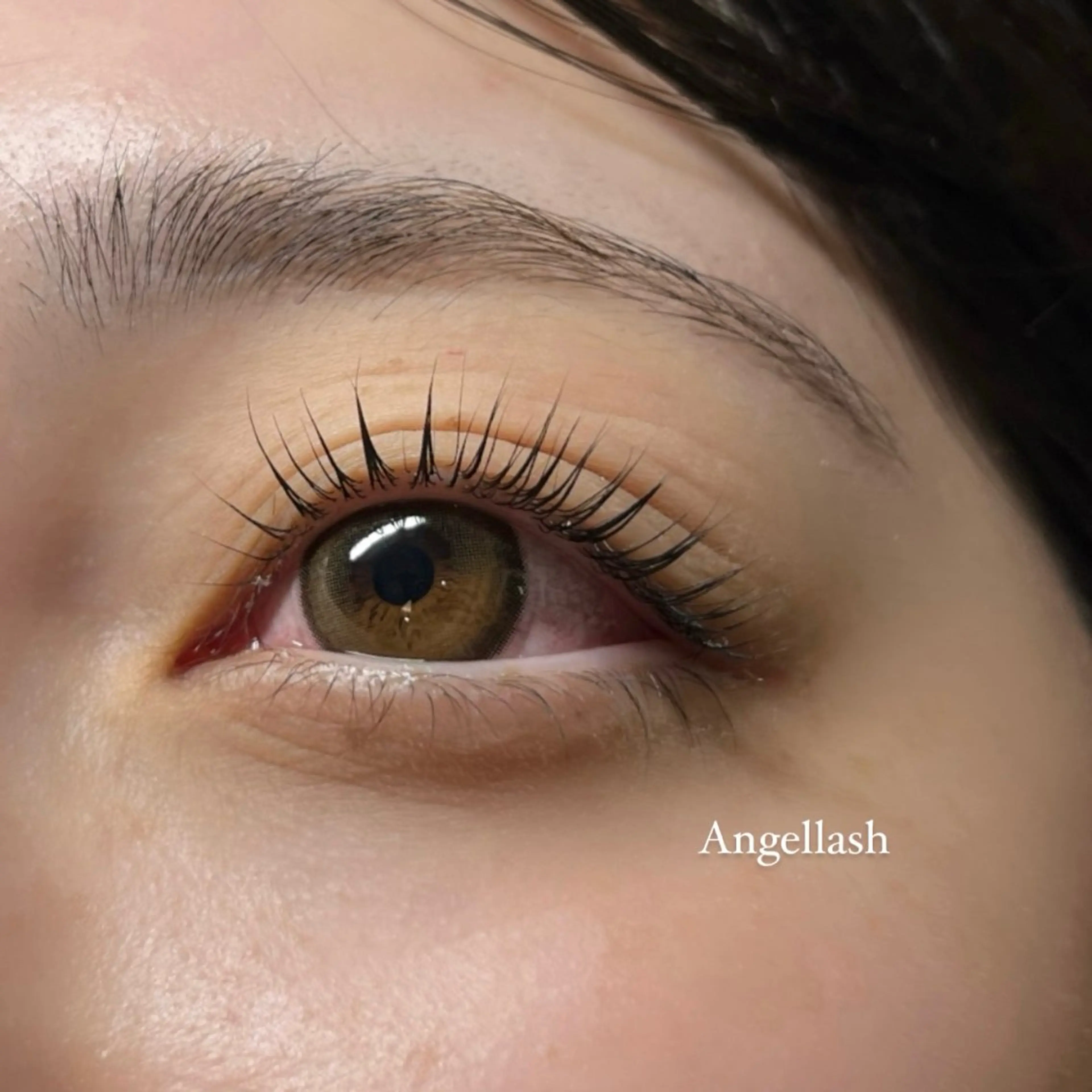 マツエク・マツパ パリジェンヌラッシュリフト AngleLash hayashiのマツエク・マツパデザイン
