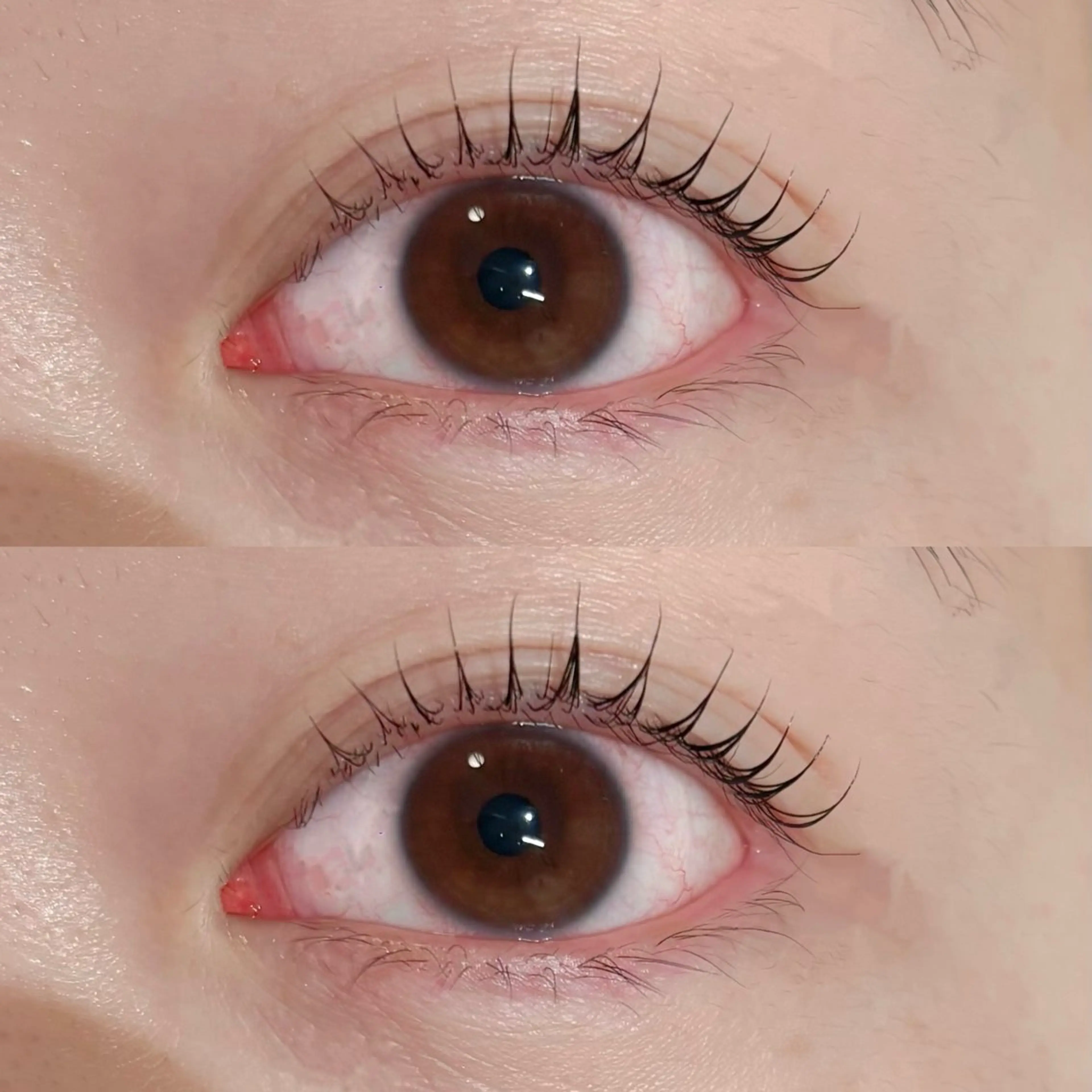 カール感選択可✨まつ毛パーマ✨✨パリジェンヌ🩷束感お仕上げ付き✩の写真