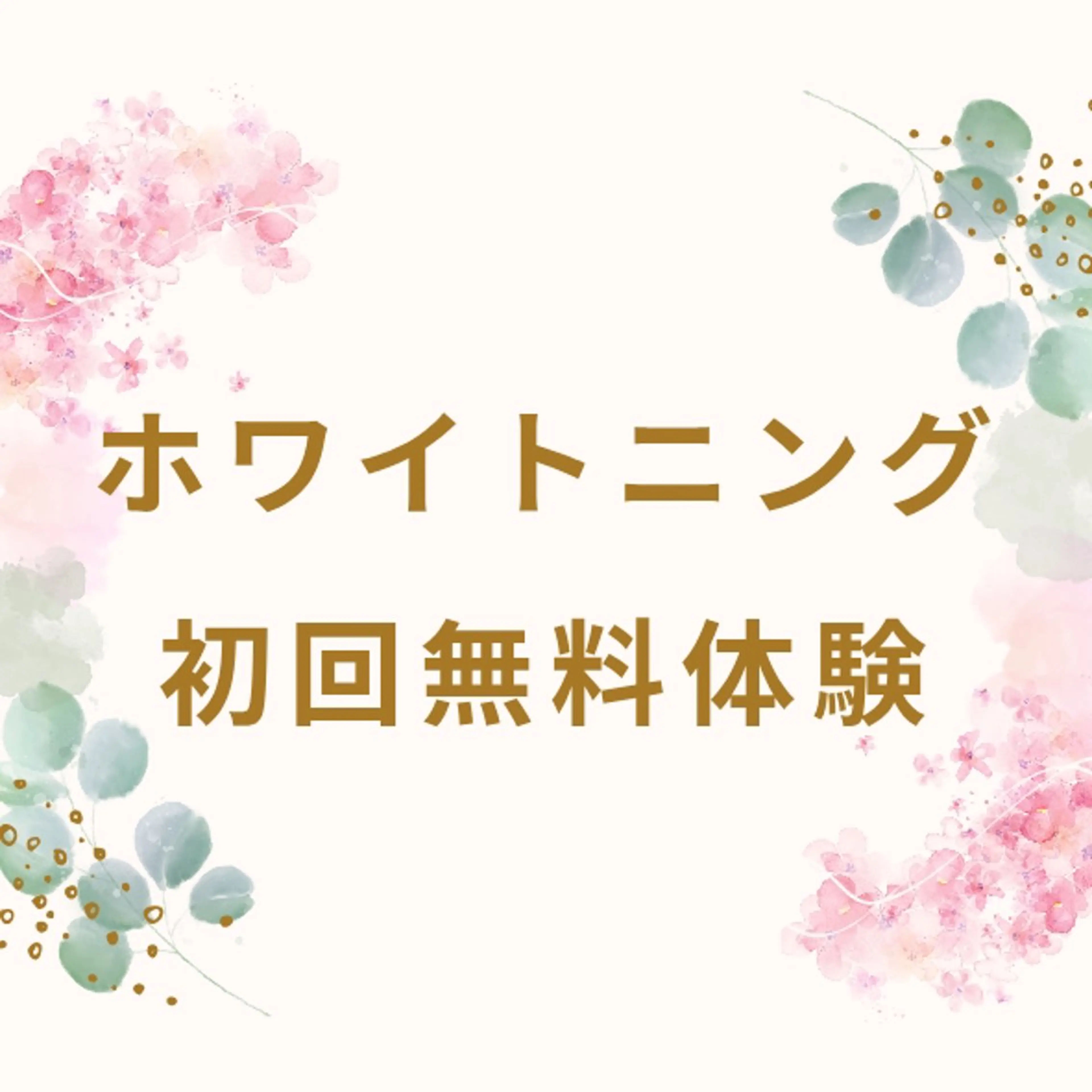 歯科提携セルフダック 宇都宮駒生店のエステ・リラクイメージ