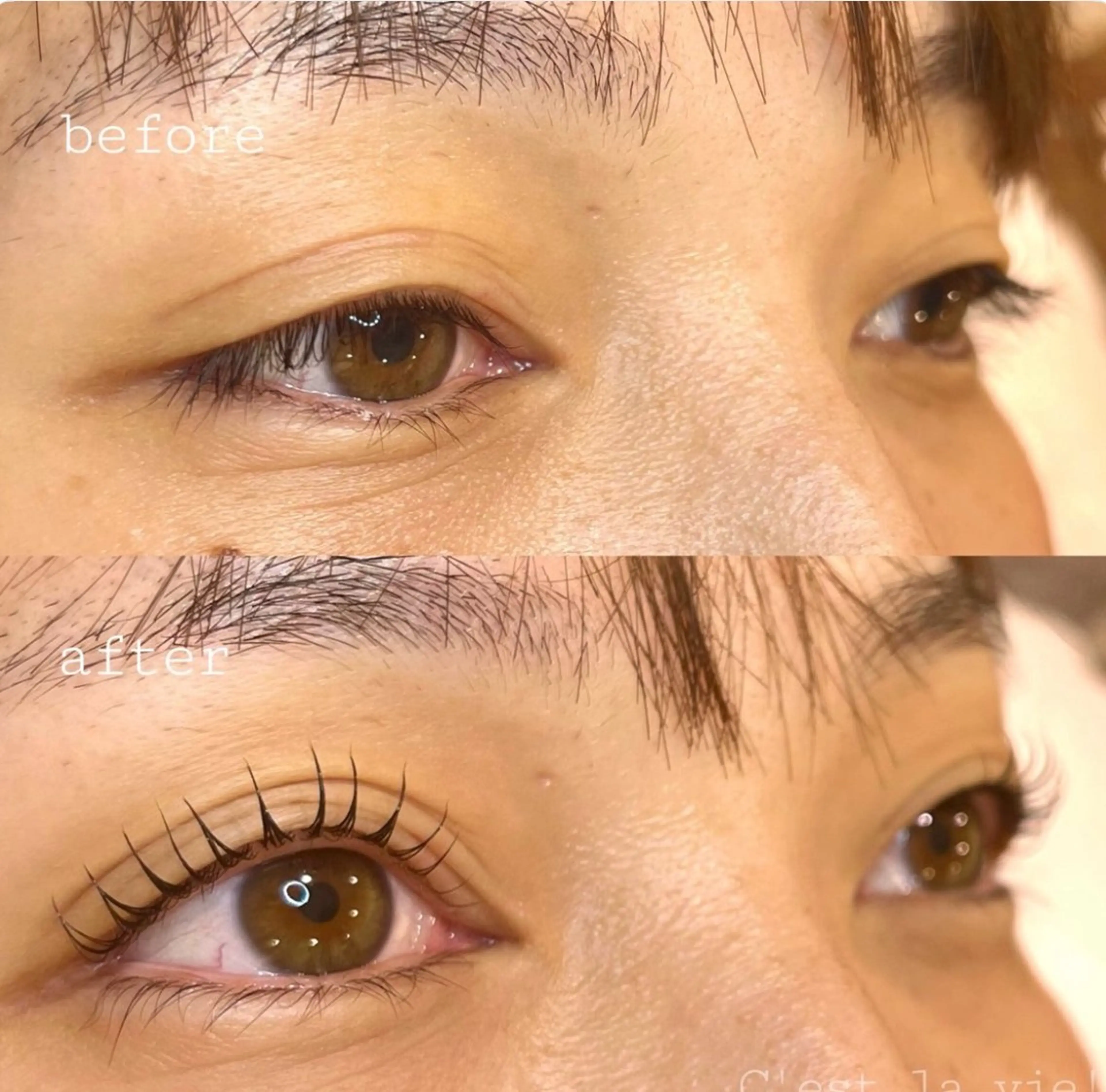 マツエク・マツパ C'est la vie!所属・奥野 綾己のマツエク・マツパデザイン