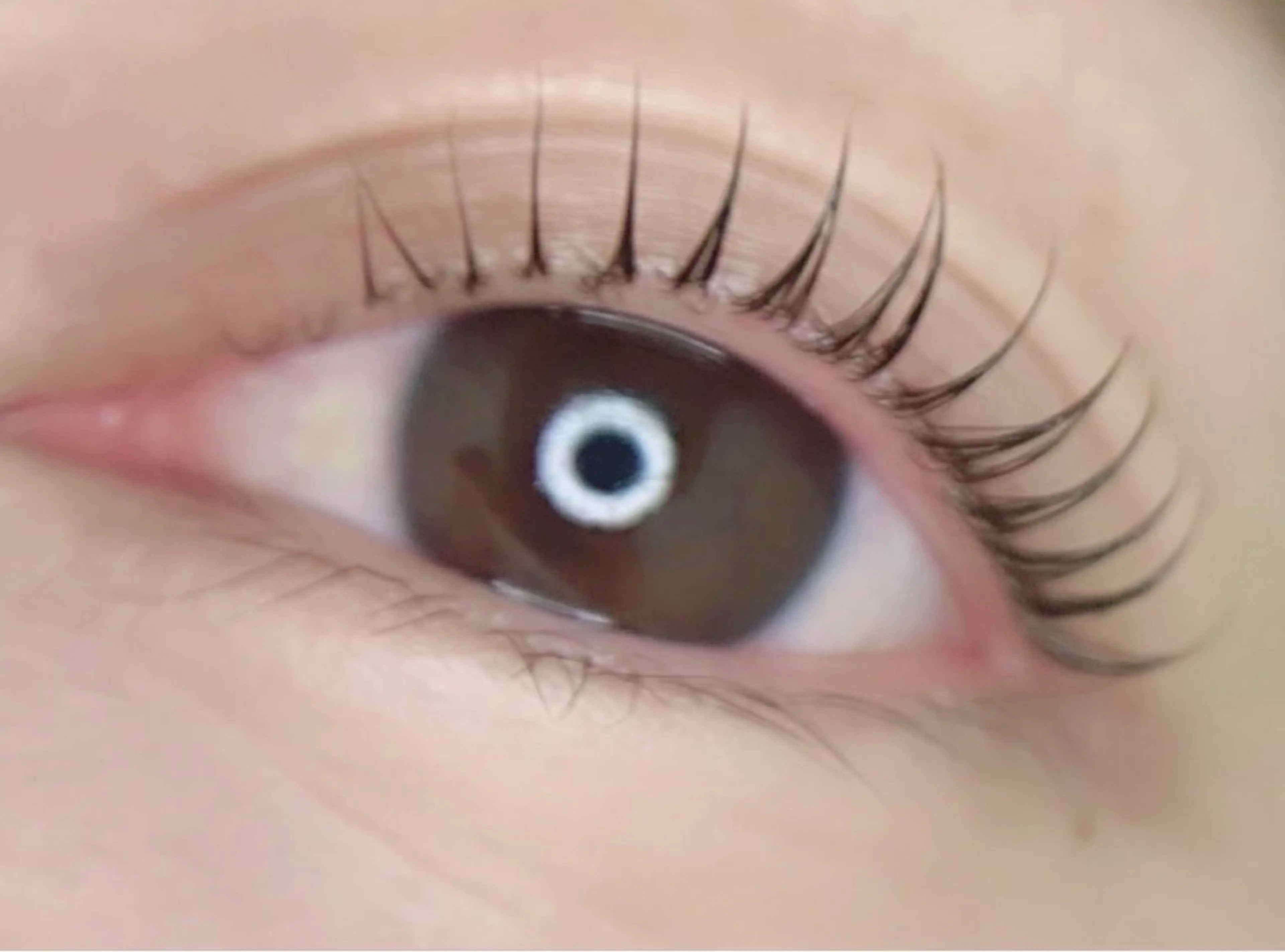 マツエク・マツパ マツパ poka lash所属・poka lash 奥村の眉毛・アイブロウイメージ