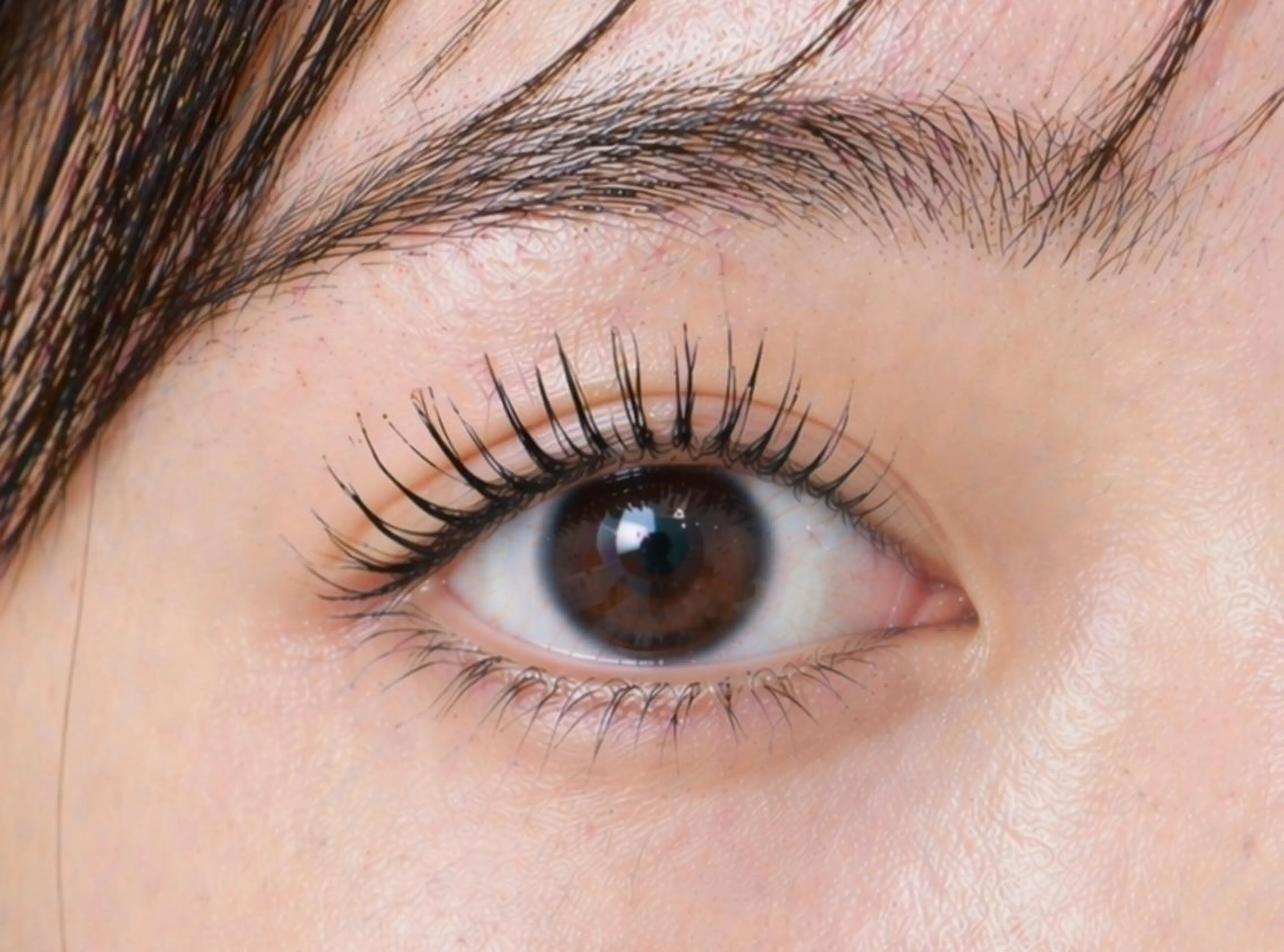 マツエク・マツパ パリジェンヌラッシュリフト memedoll 徳島店のマツエク・マツパデザイン