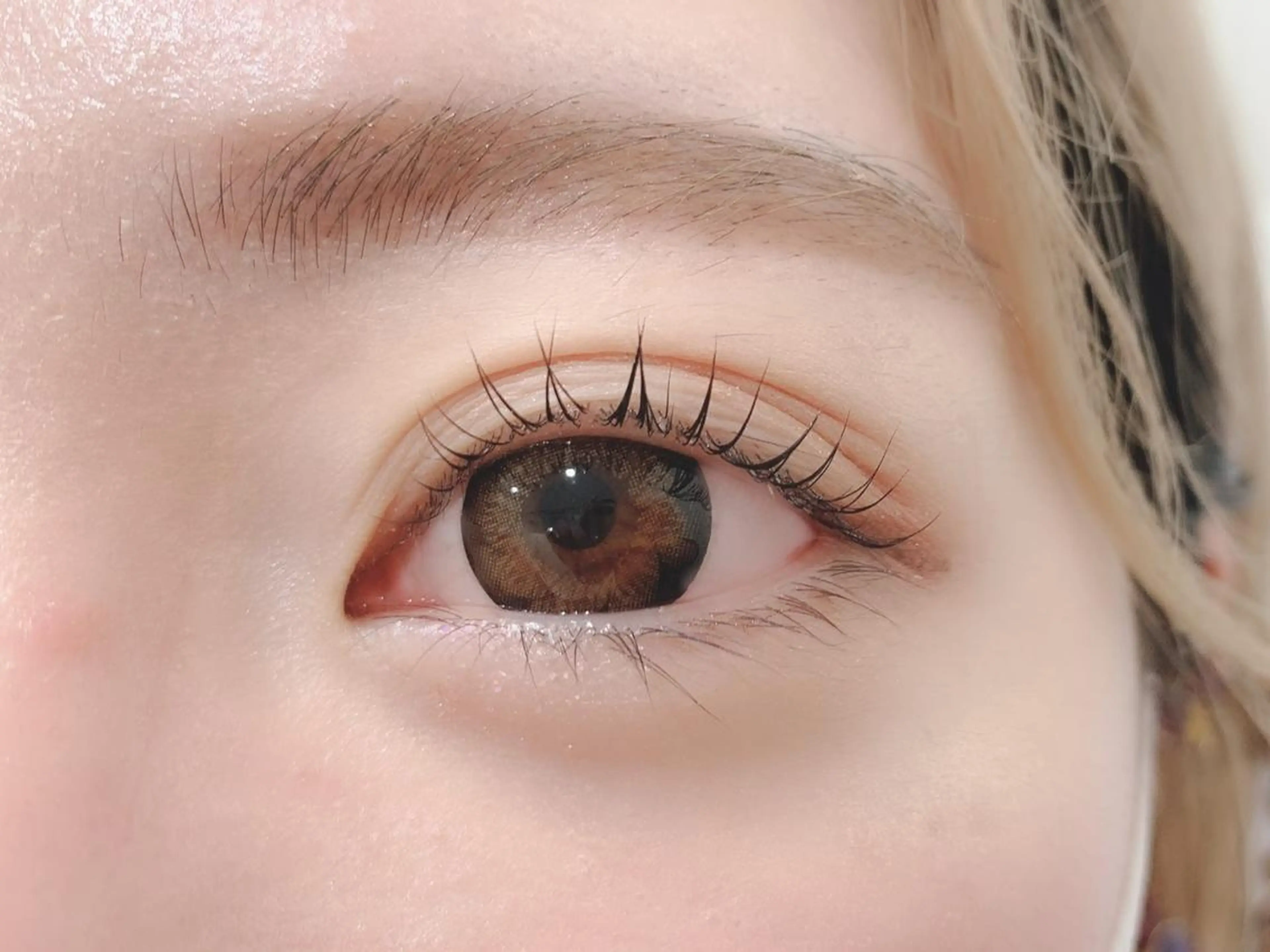 《ご新規様限定》60分まつ毛パーマカールタイプ(上)(最終30分予約不可)の写真