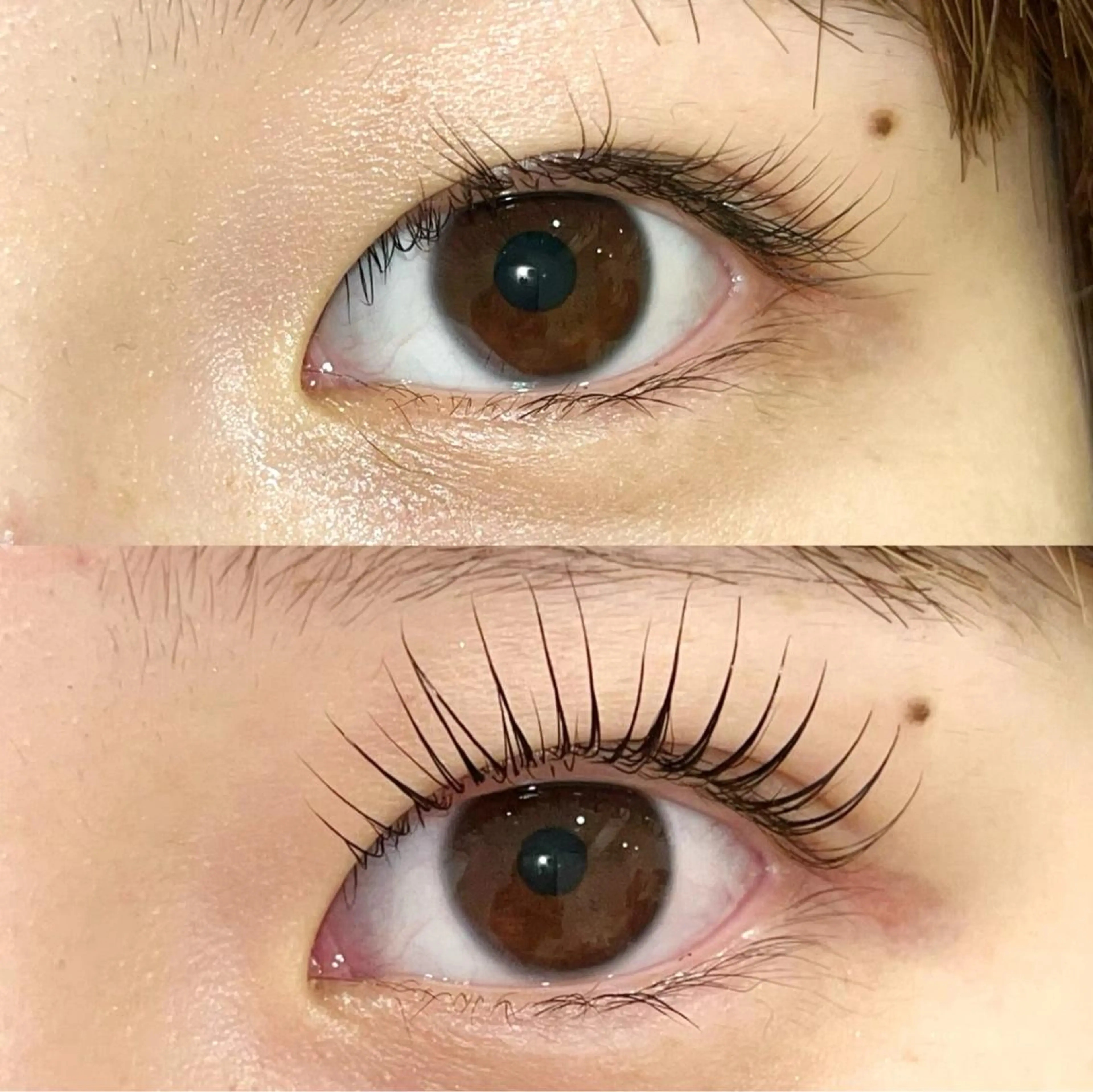 マツエク・マツパ パリジェンヌラッシュリフト まつげパーマ ai一重専門🎀束感 まつげ🫧表参道のマツエク・マツパデザイン