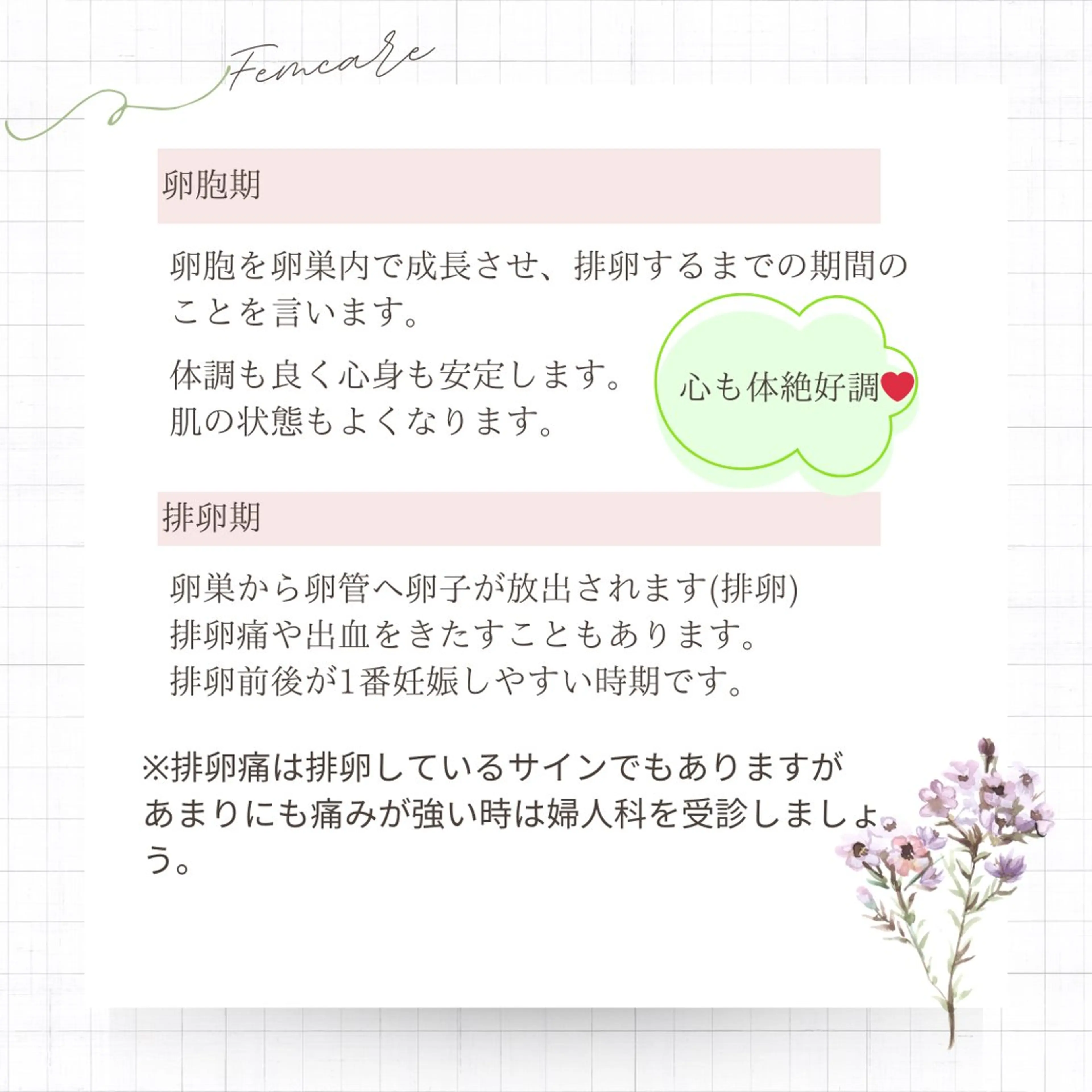 めぐらせの 森のその他イメージ