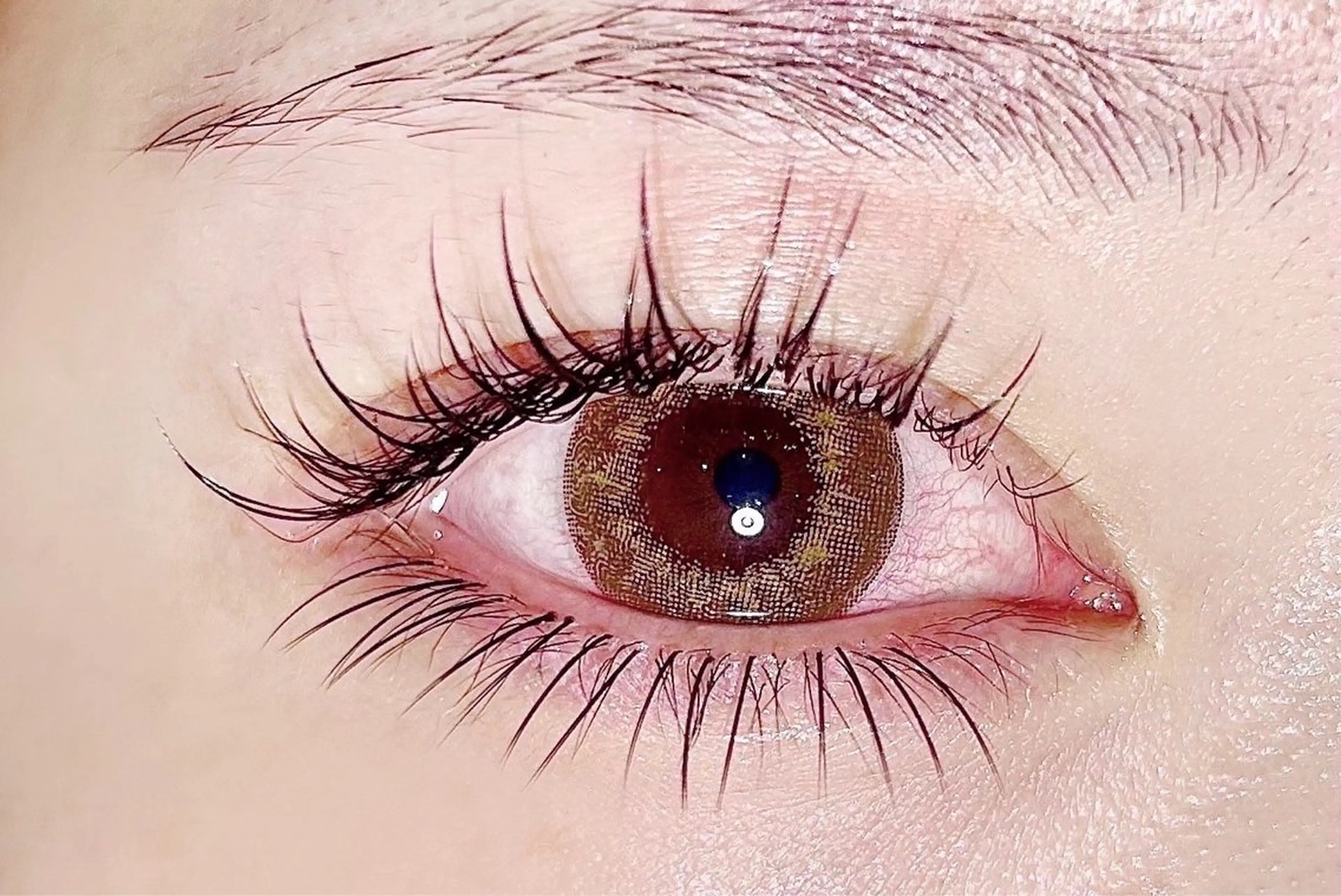 軽量フラットラッシュ時間内つけ放題オフ込🌟7,000円（LED変更+700円）の写真