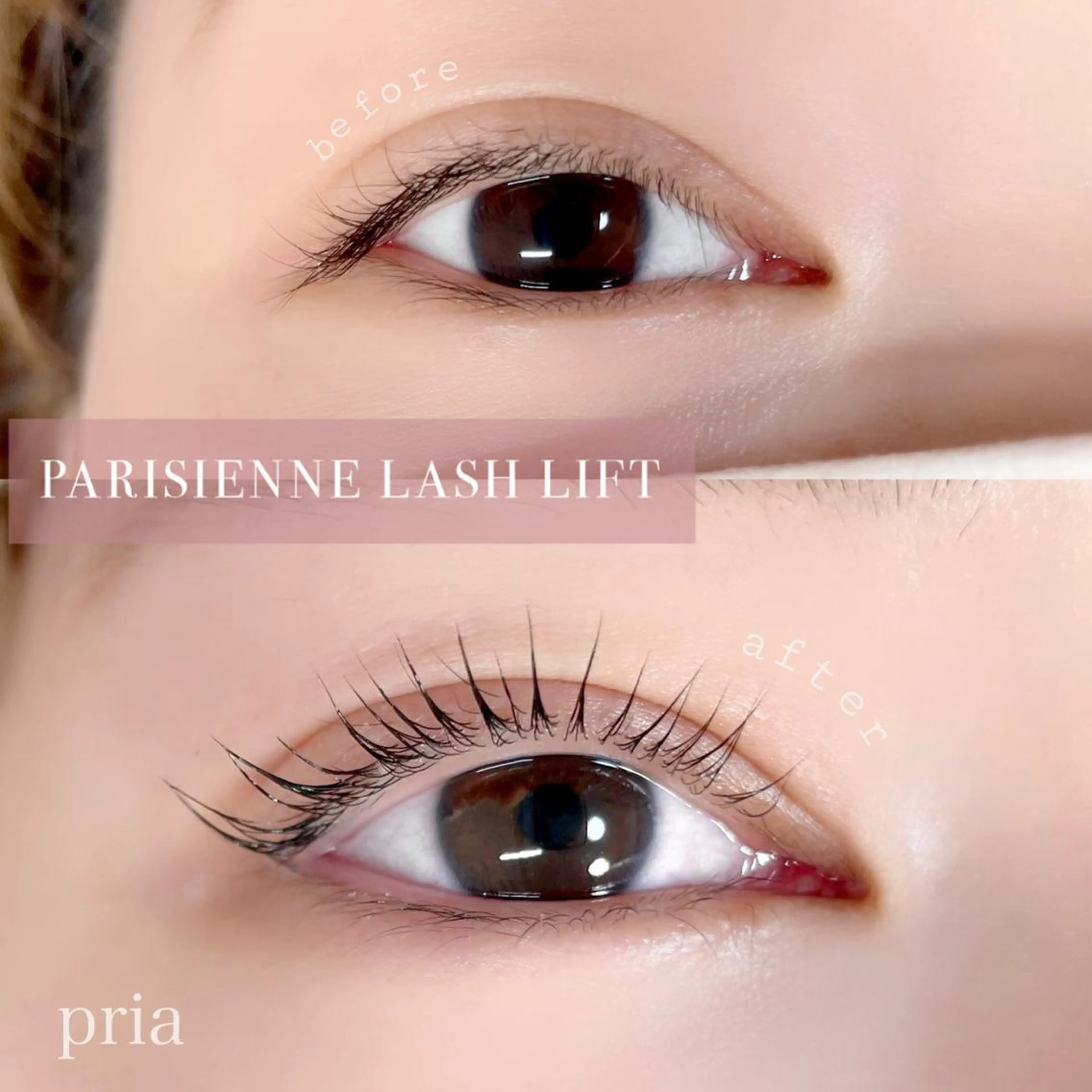 マツエク・マツパ マツパ pria【プリア】 yukiのマツエク・マツパデザイン