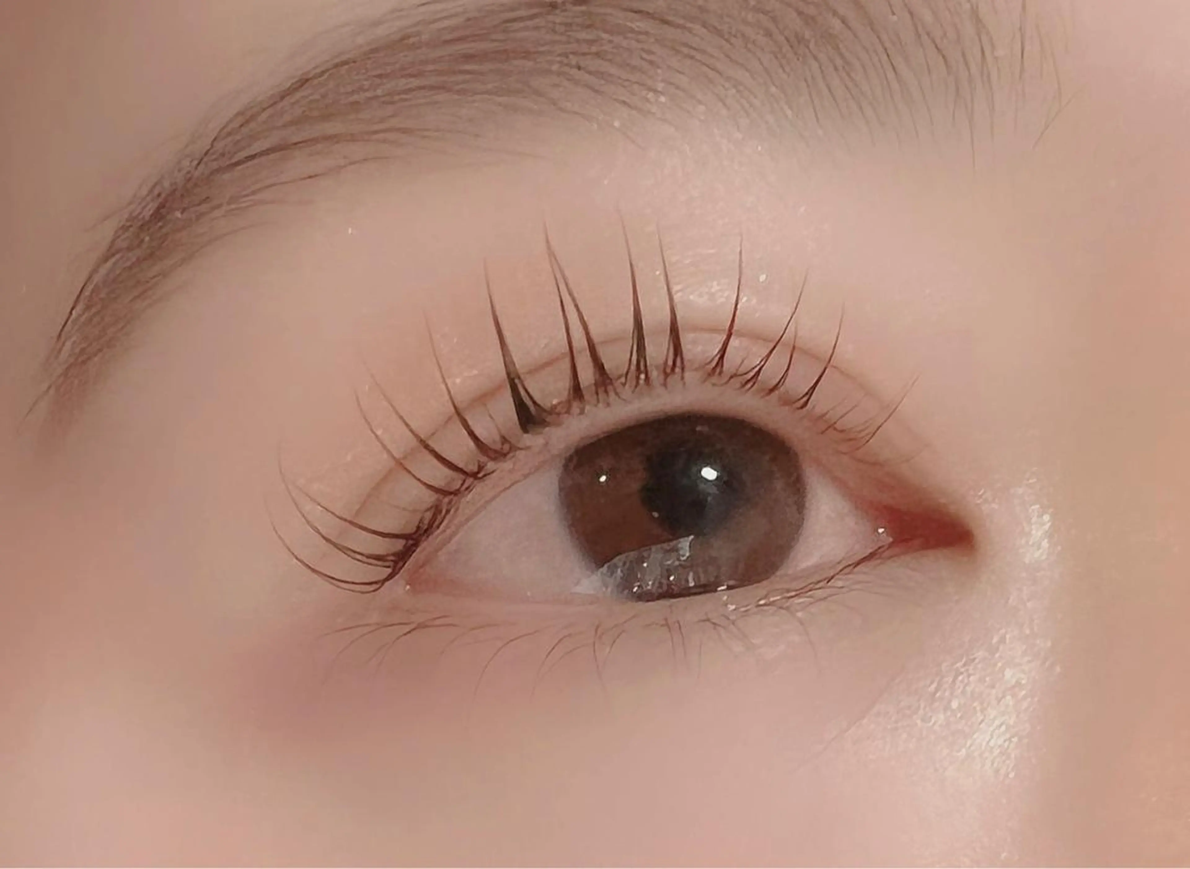 マツエク・マツパ 《eyenail M 》tsubakiの眉毛・アイブロウイメージ