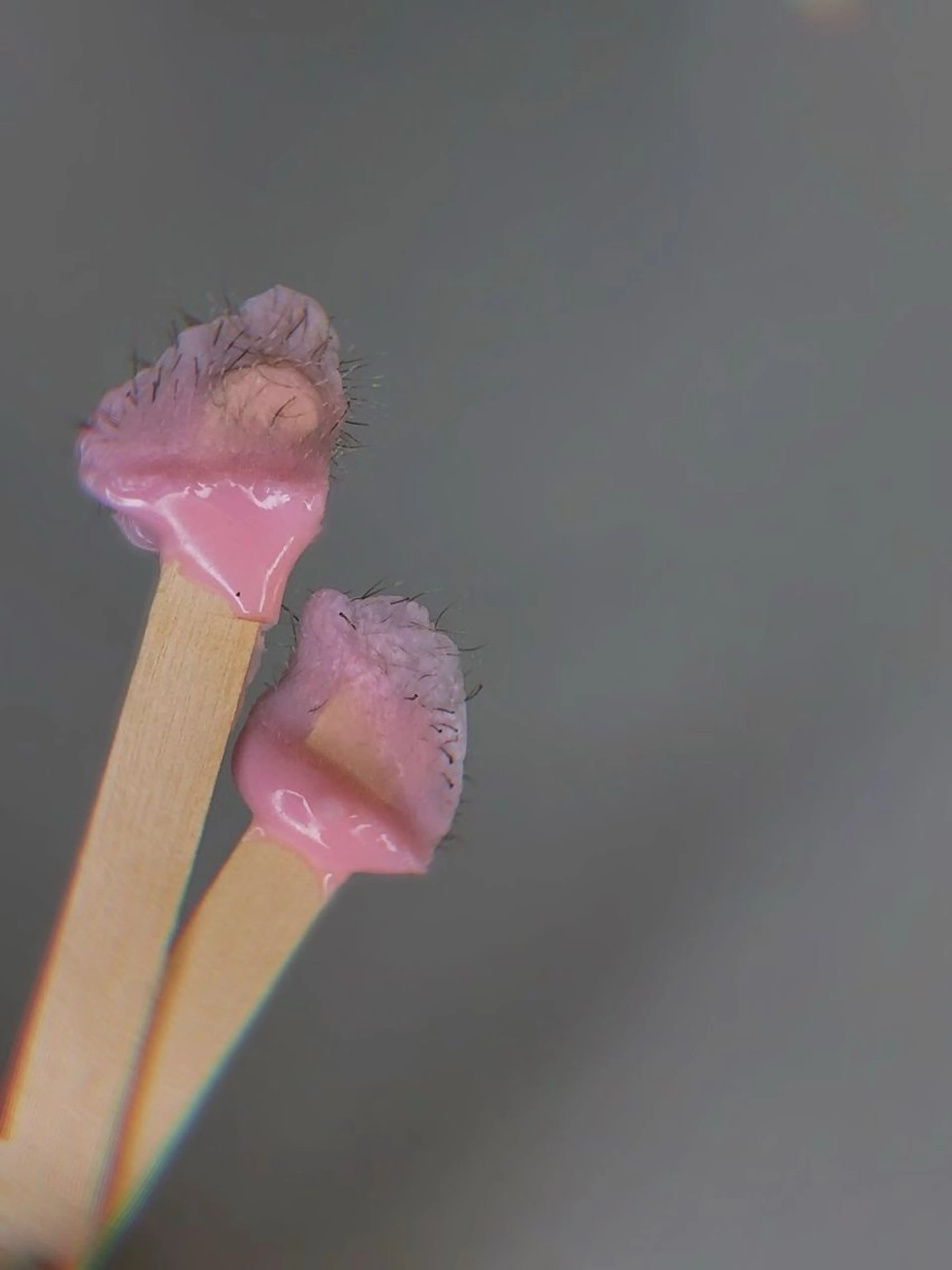 LULA池袋店 HAYASAKAのエステ・リラクイメージ