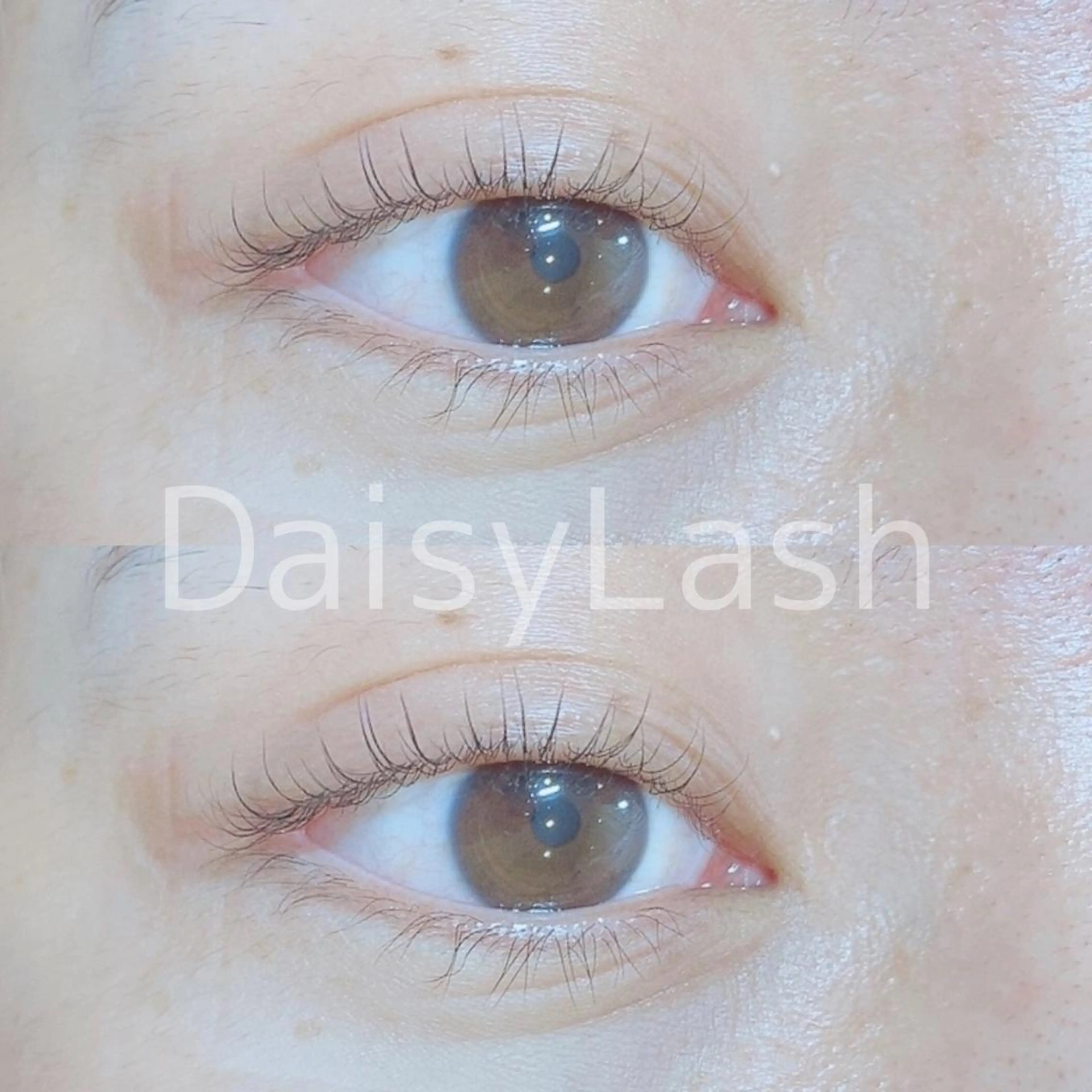 マツエク・マツパ DaisyLash 京橋店のマツエク・マツパデザイン