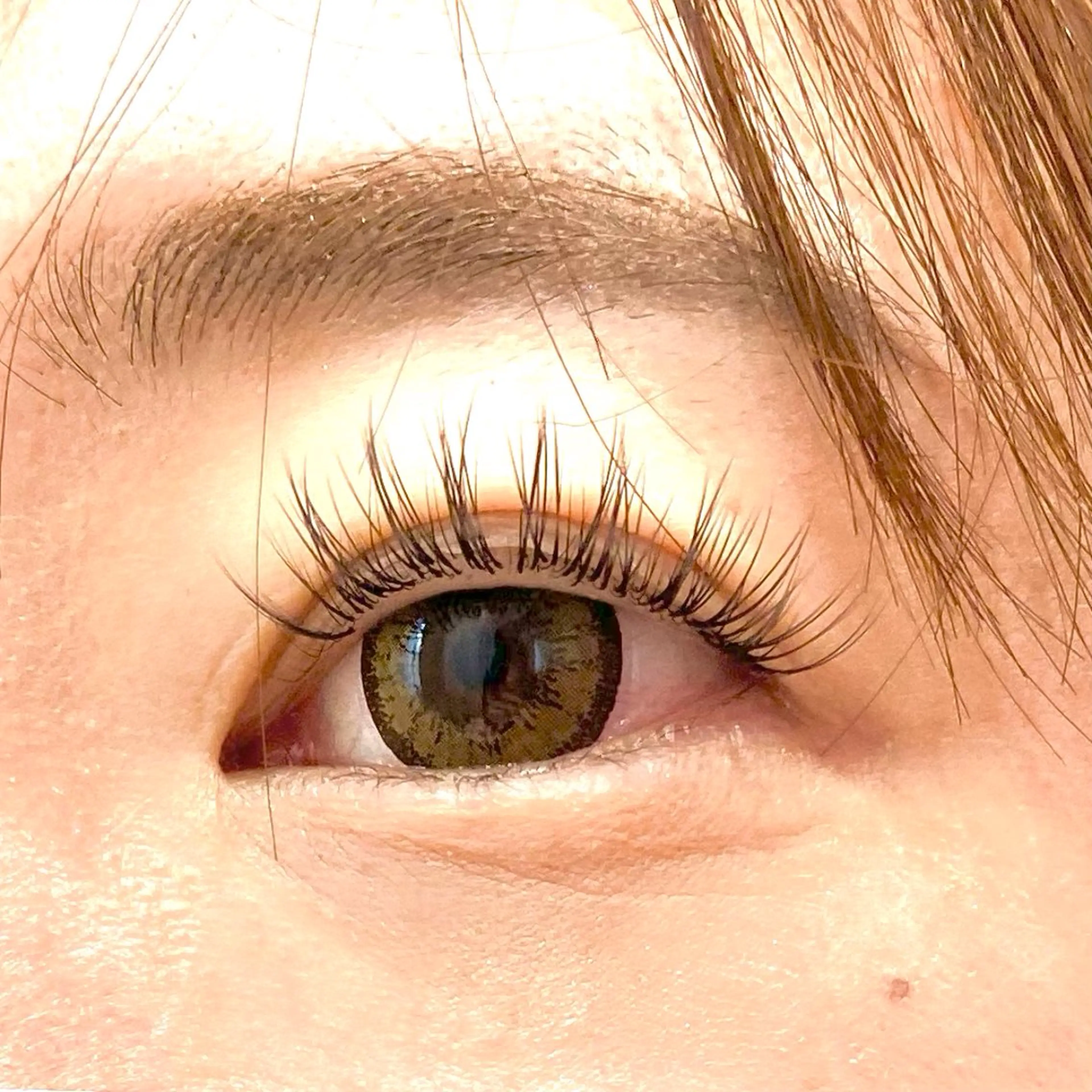 【✨4月限定ミニモ限定価格✨】(オフなし)《パリジェンヌラッシュ＋Wフラット60本》⚠️当店のご来店が初めての方のみの写真