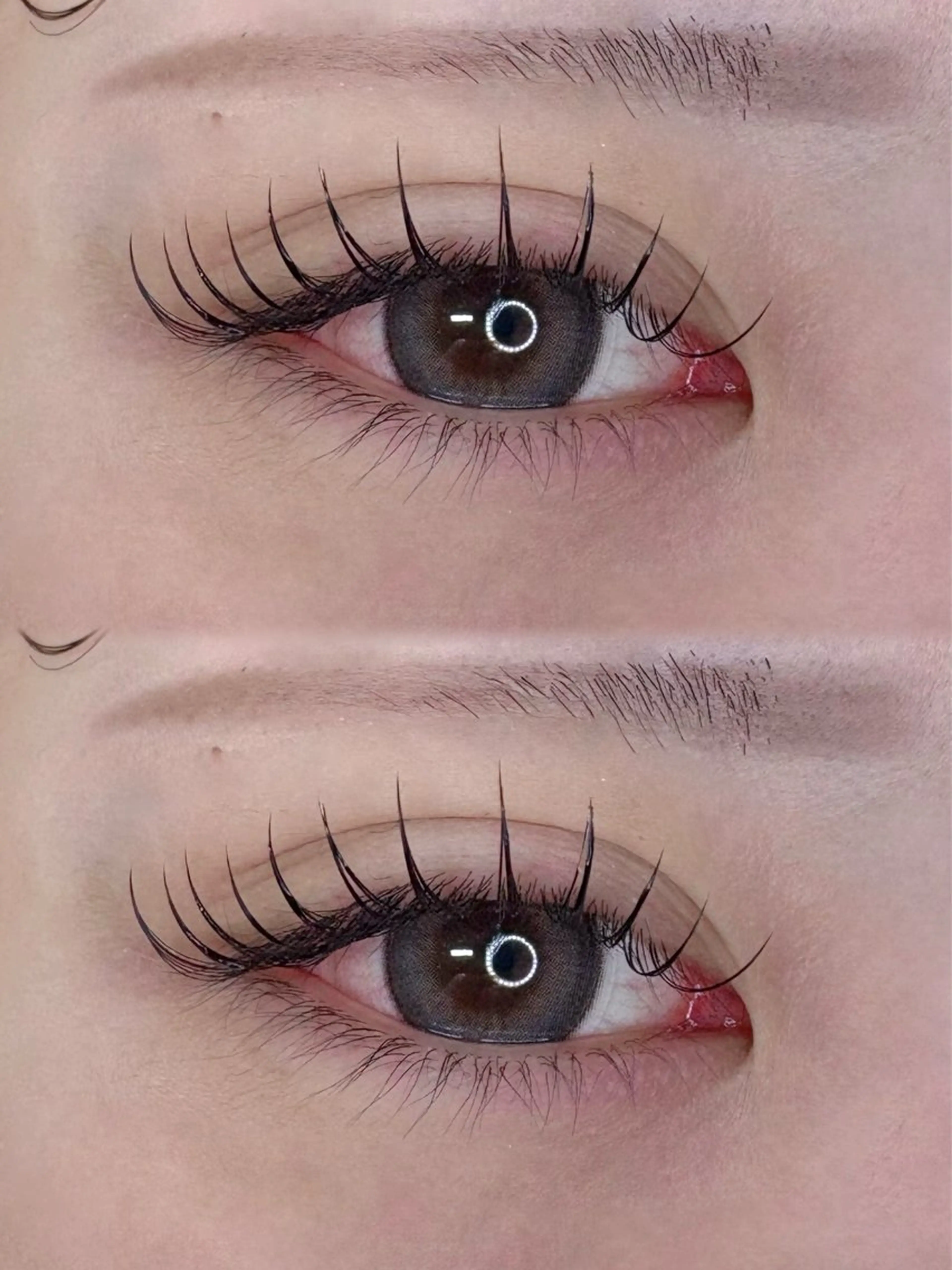 当日限定💜超軽量フラットラッシュ120本まで💜の写真