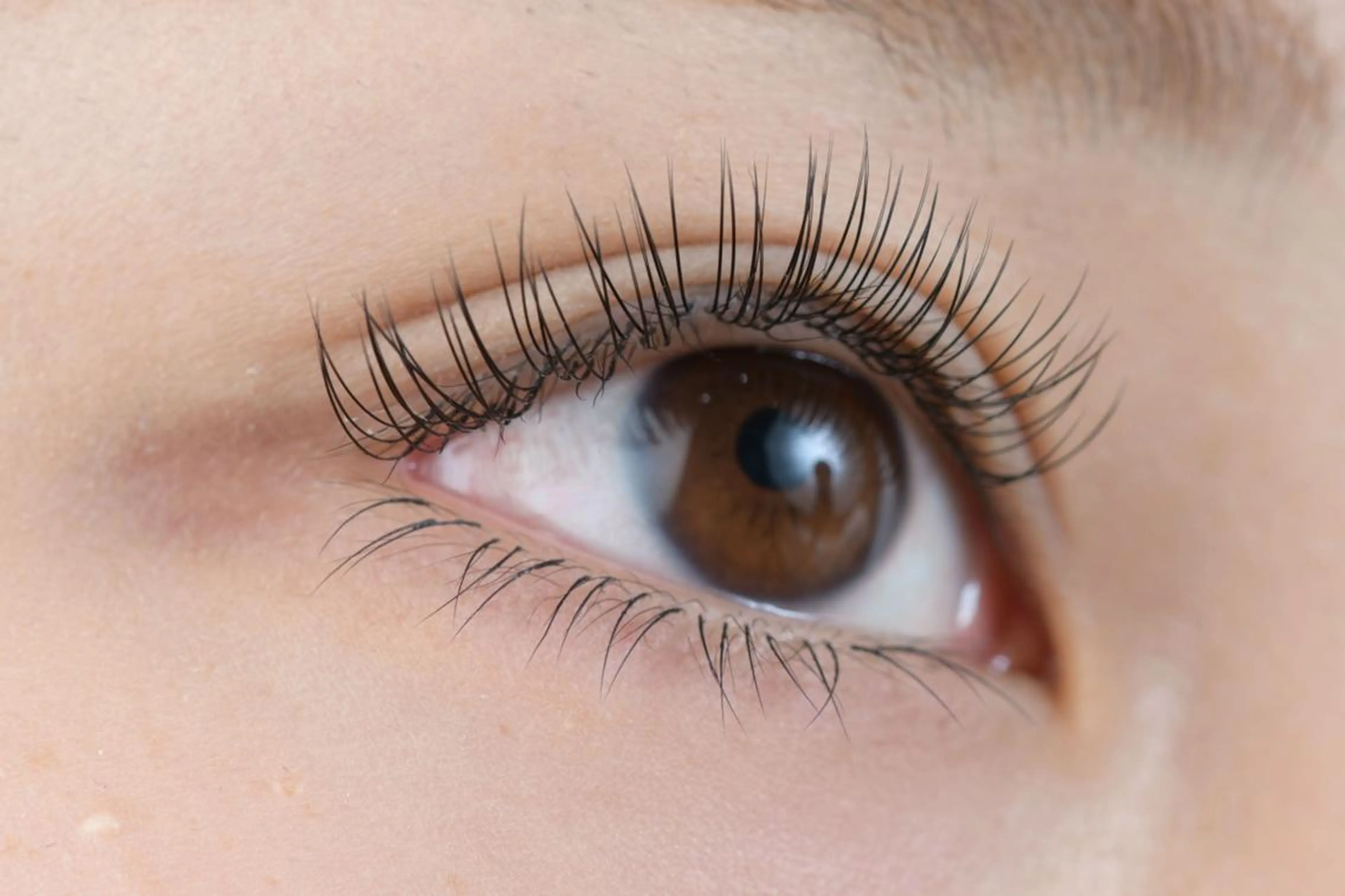 マツエク・マツパ フラットラッシュ アイサロン フェア 海老名店のマツエク・マツパデザイン