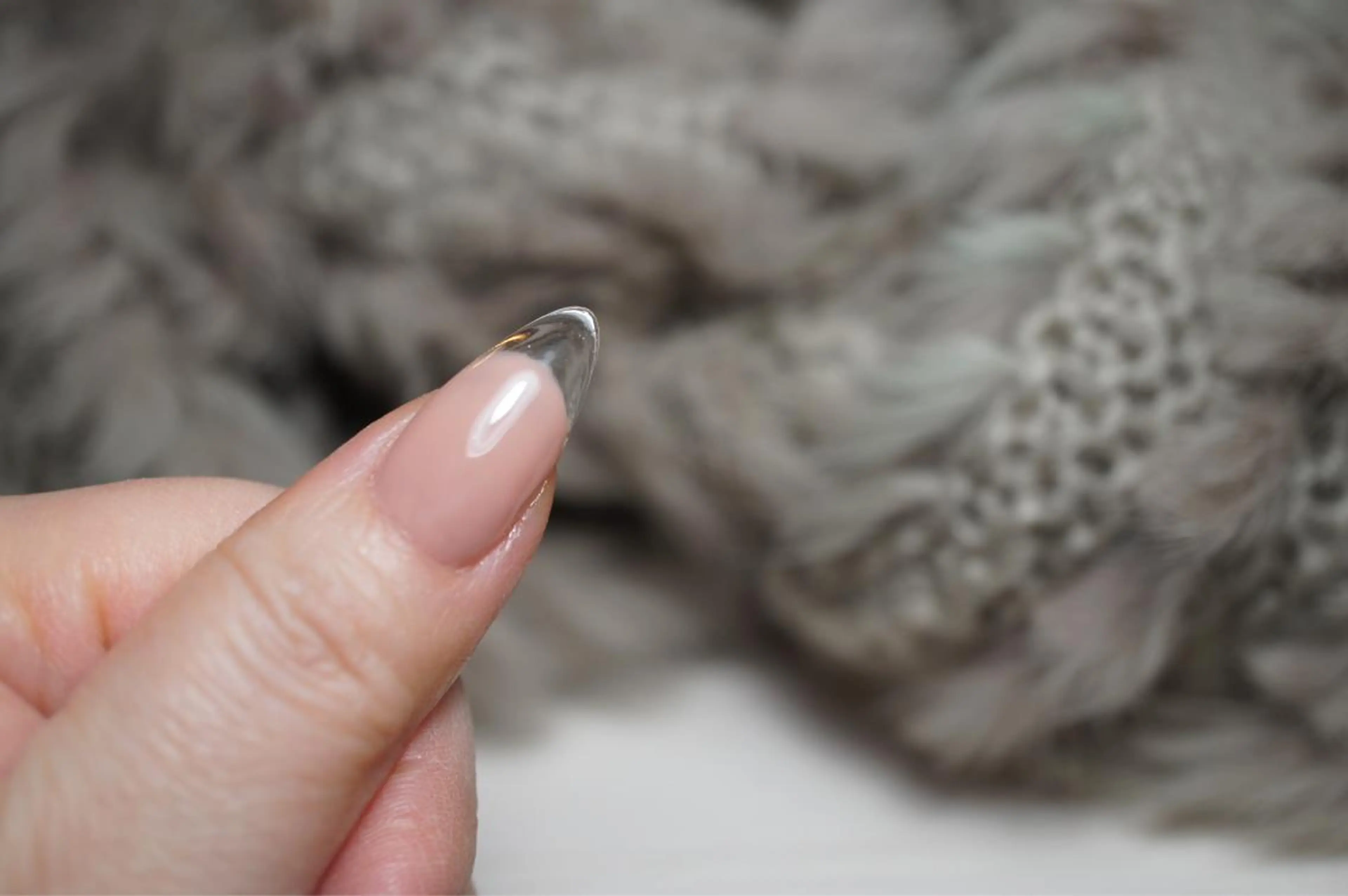 ネイル プライベートサロン jewel nailのネイルデザイン