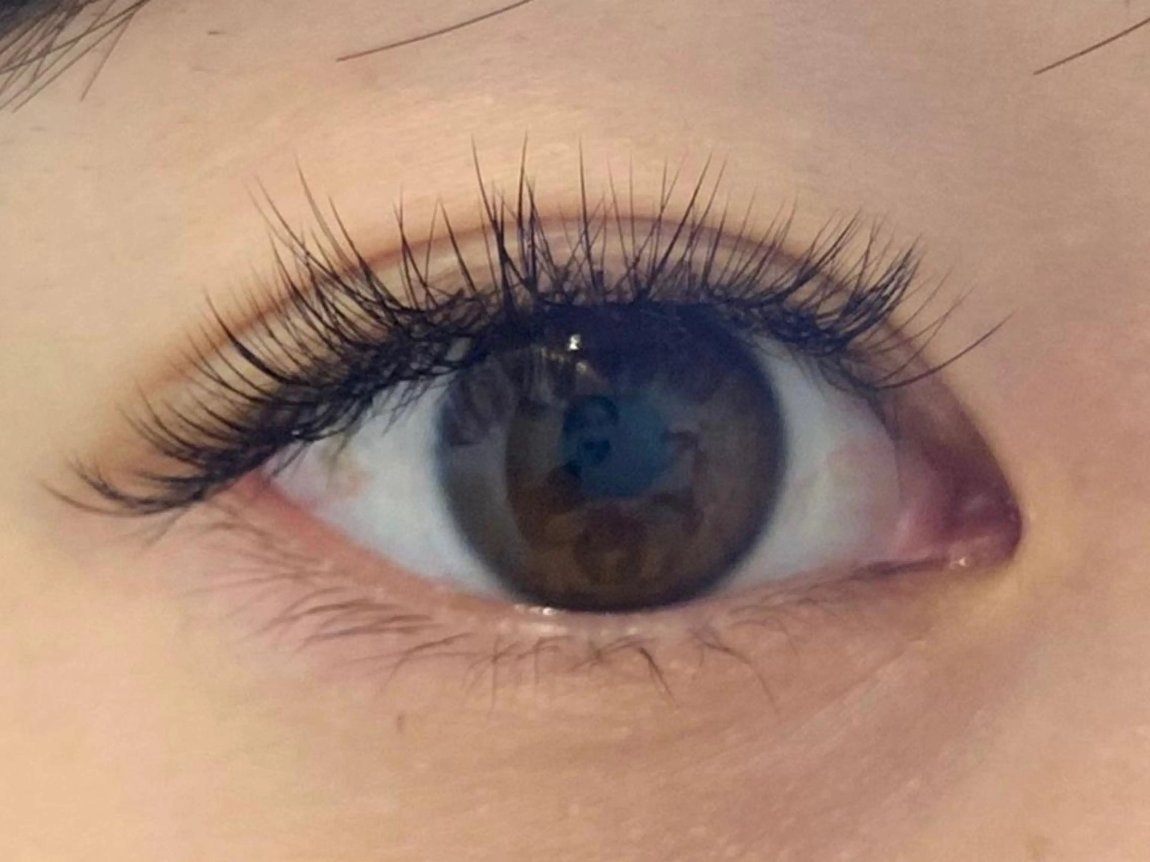 マツエク・マツパ ボリュームラッシュ マキノ サヤカのマツエク・マツパデザイン