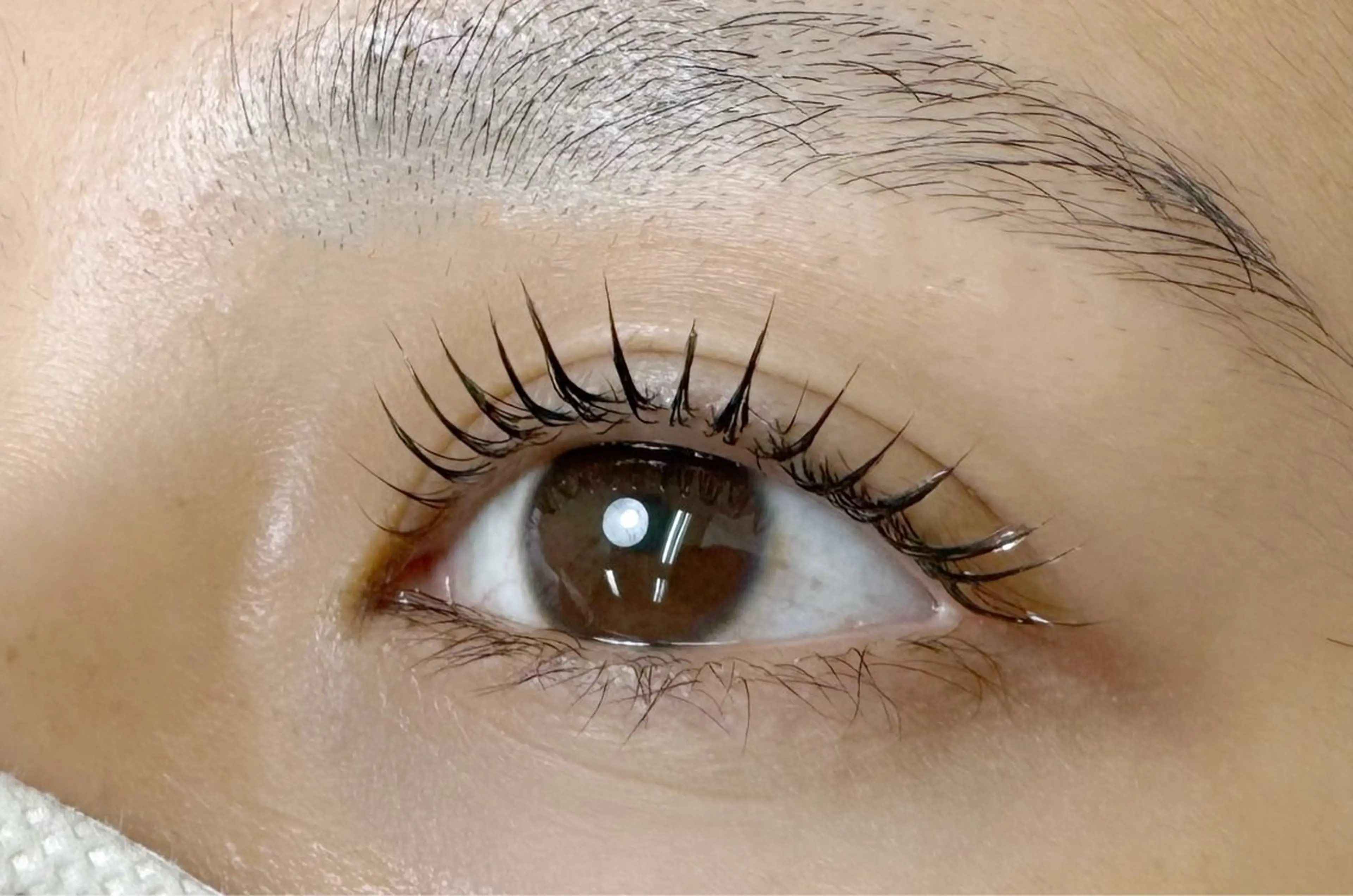 マツエク・マツパ Dカール AOI aura 新宿西口店のマツエク・マツパデザイン