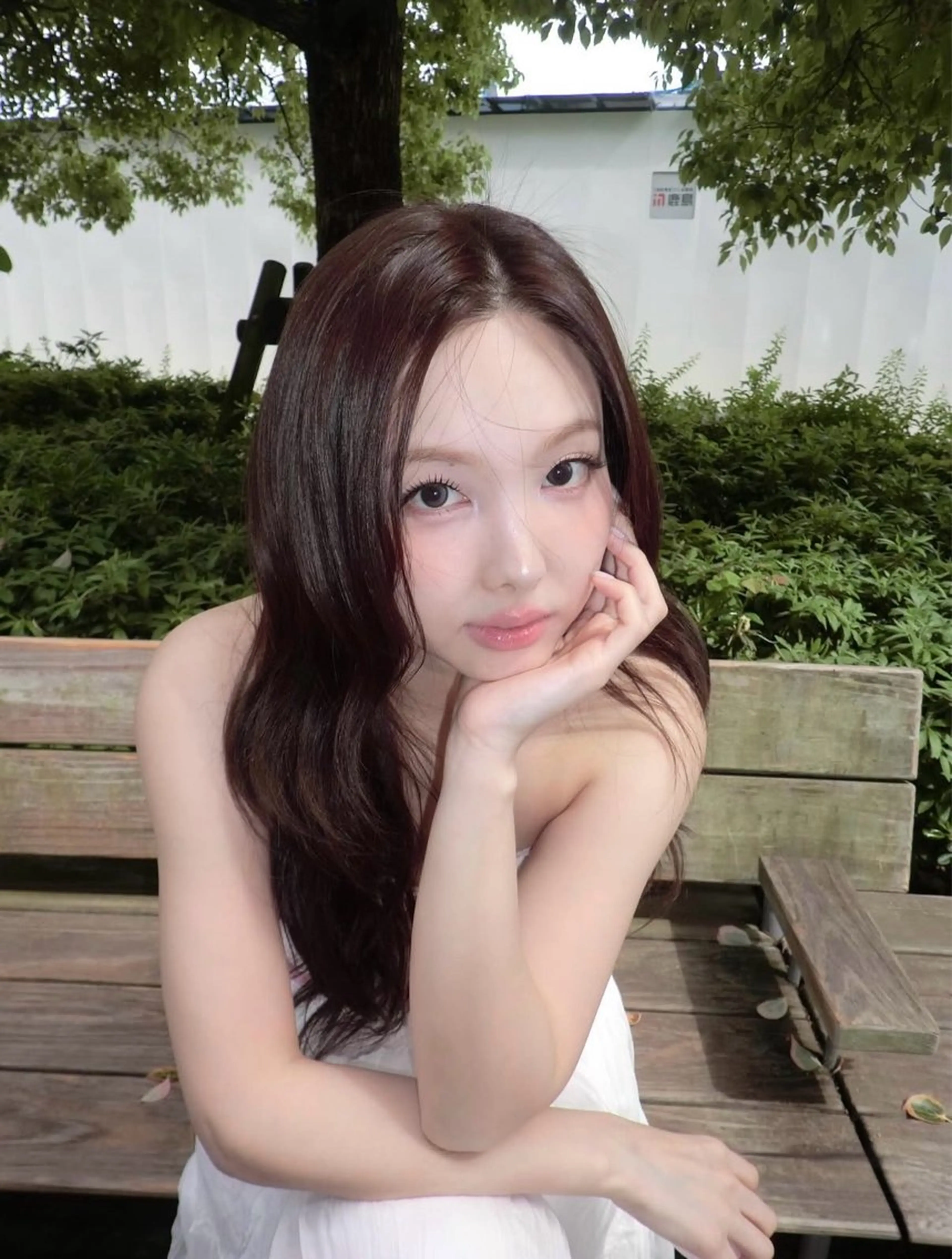 ロング カラー ブラウンカラー ラベンダーカラー ピンクカラー ヘアカラー トリートメント ブリーチなし🌼トレ ンド🌼似合わせのヘアスタイル