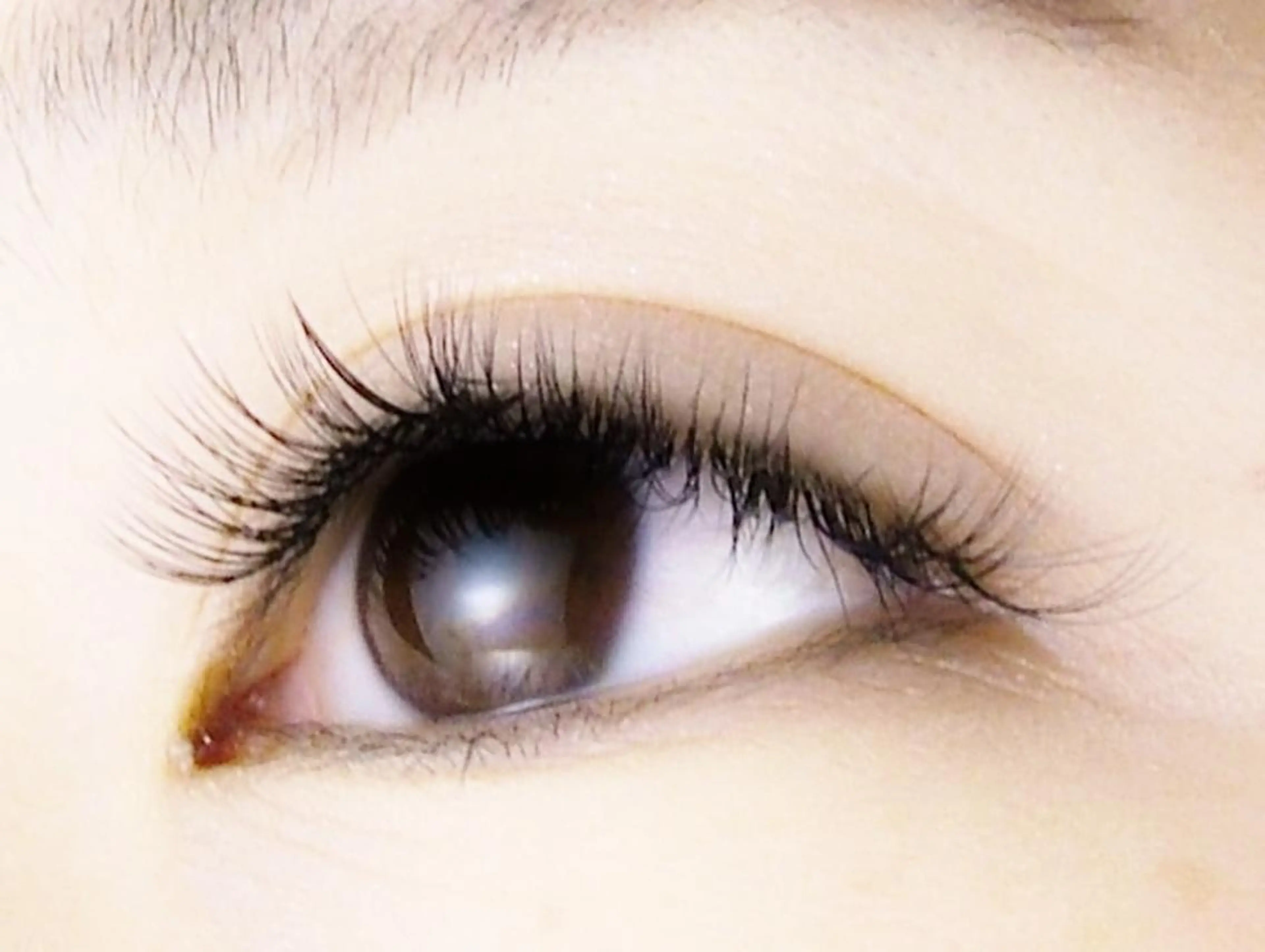 【新規オフ無料】LEDフラットラッシュ120本✨️6,480円🎵の写真