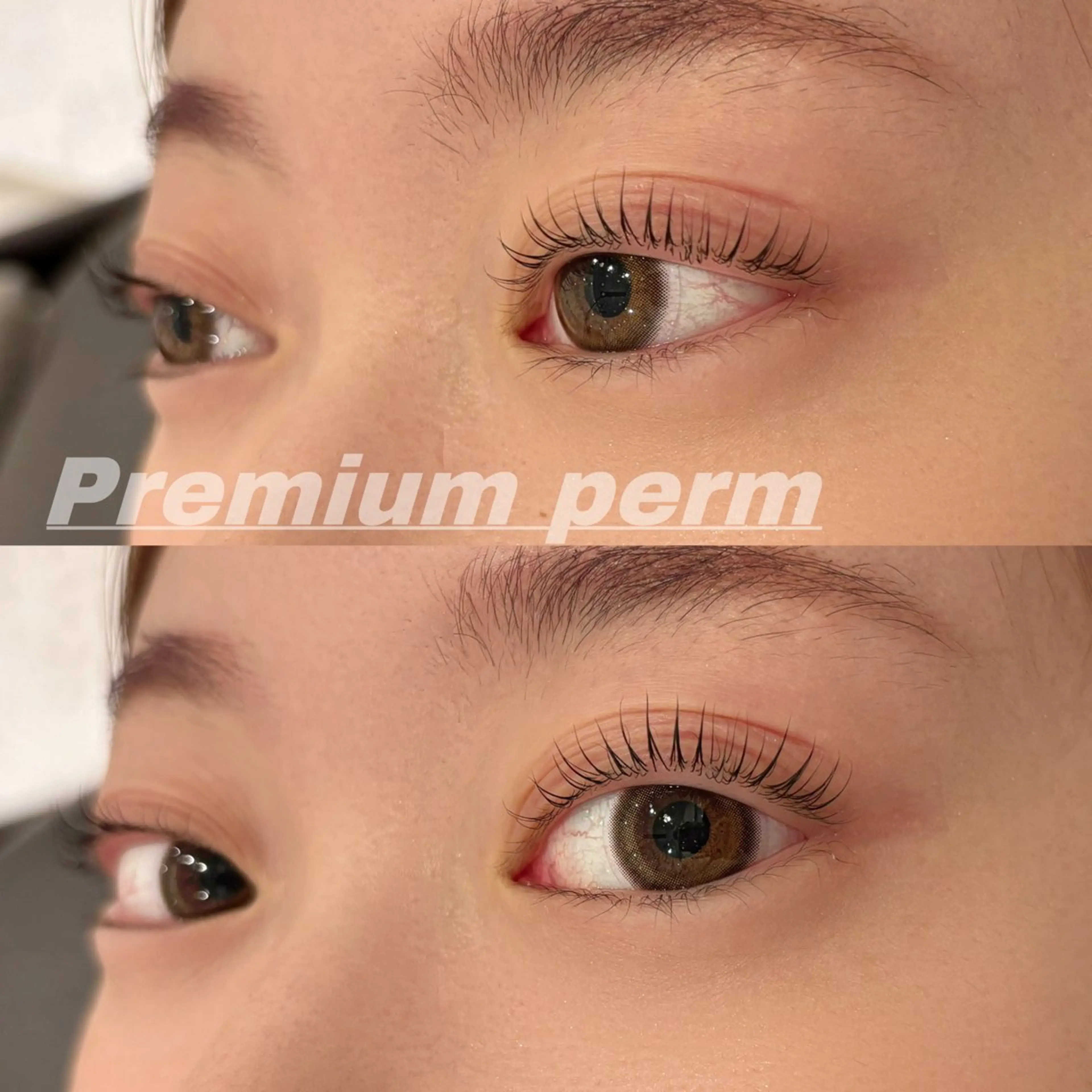 マツエク・マツパ 一重×まつ毛パーマ マツパ Eye ELSA lash栄店の眉毛・アイブロウイメージ