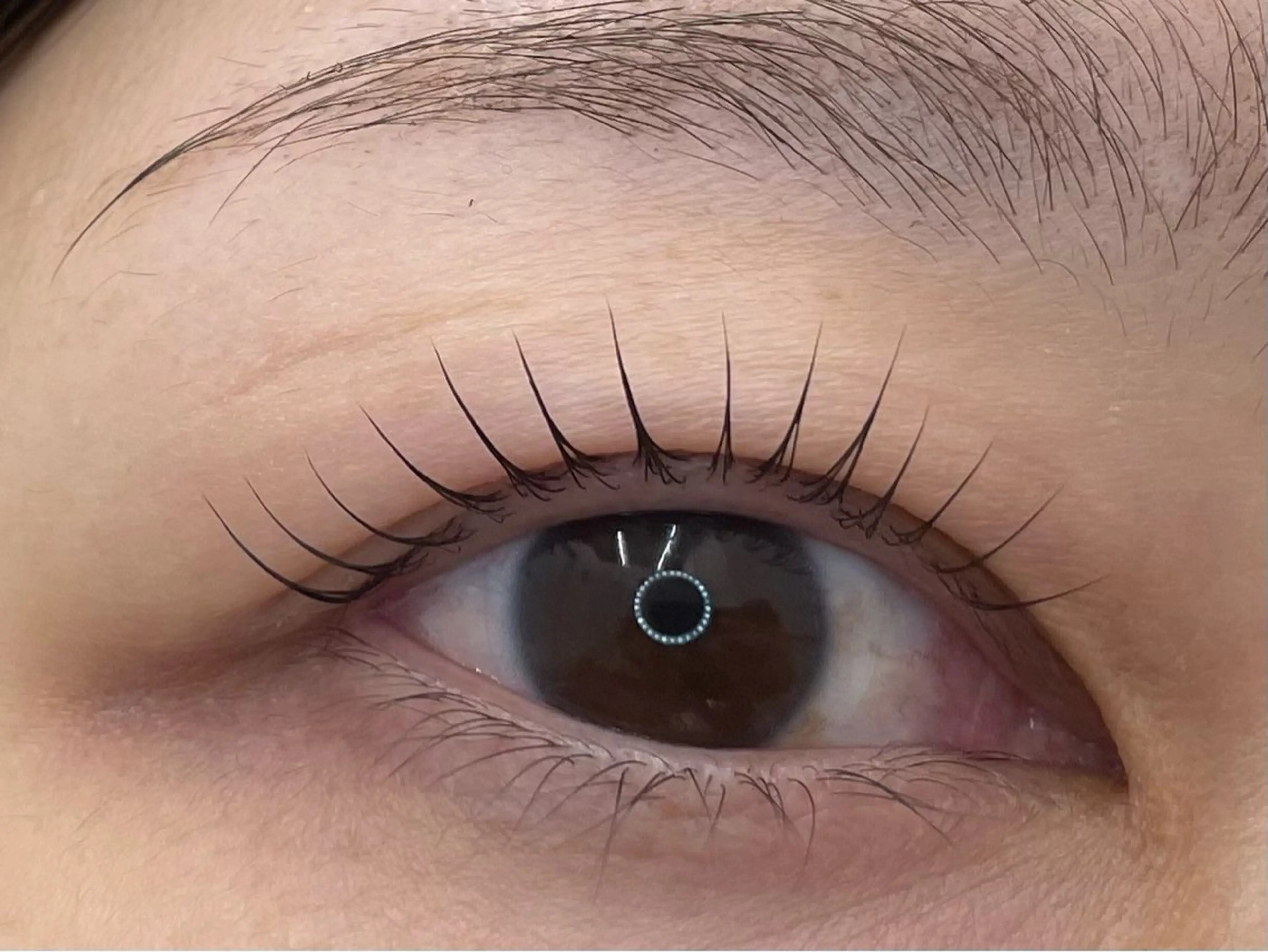 マツエク・マツパ Lukia MOMOのマツエク・マツパデザイン