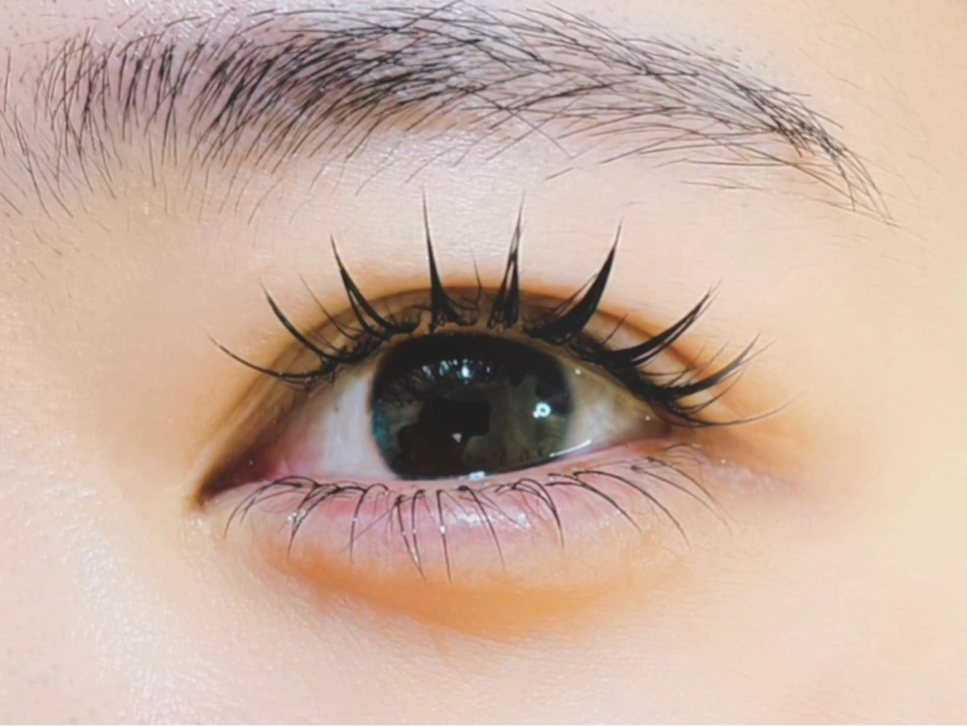 マツエク・マツパ 付け放題 バインドロック 束感まつ毛 フラットラッシュ パリジェンヌラッシュリフト マツエク オーロラ所属・AURORA RINAのマツエク・マツパデザイン