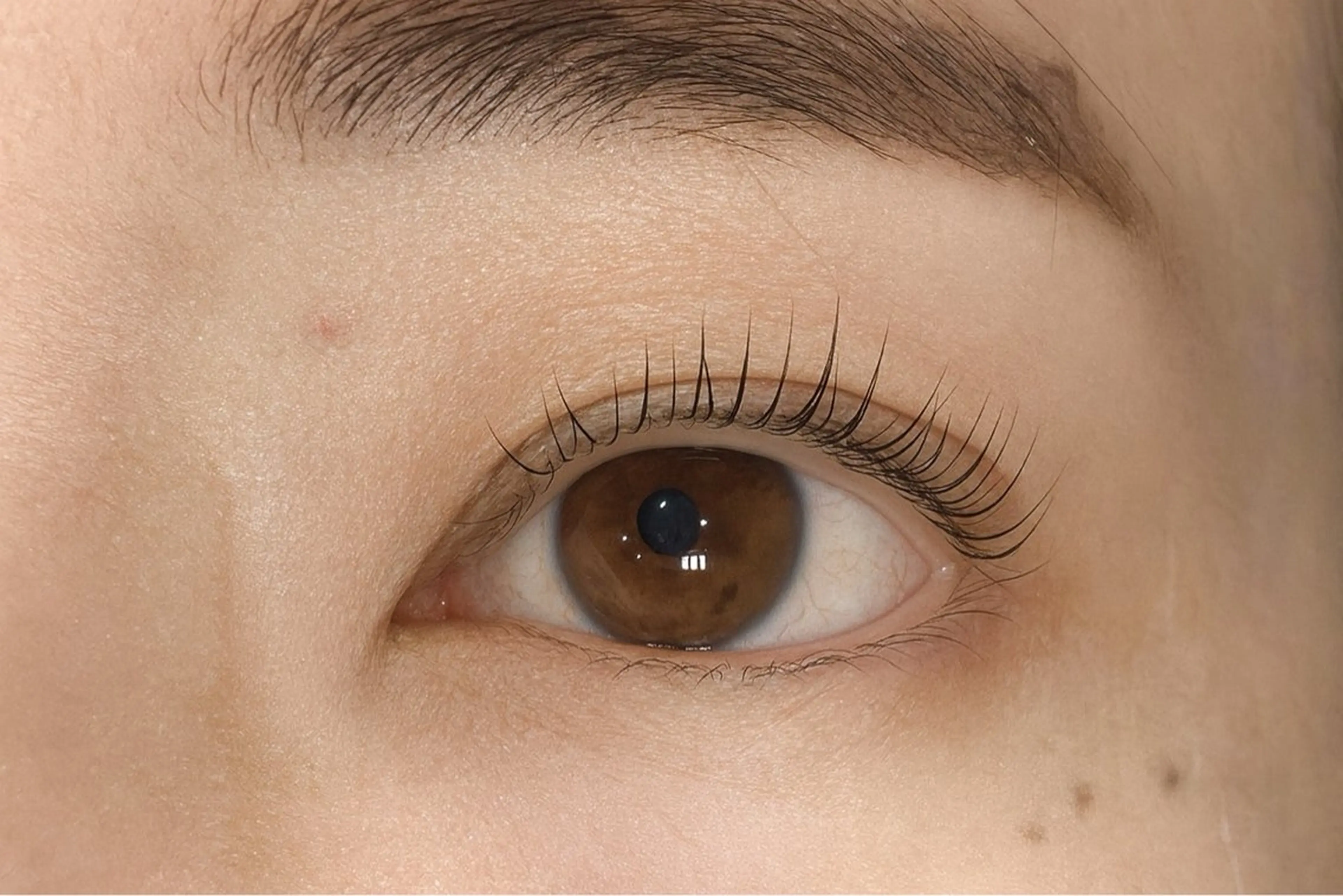 【期間限定】パリジェンヌラッシュリフト🎀🫧の写真