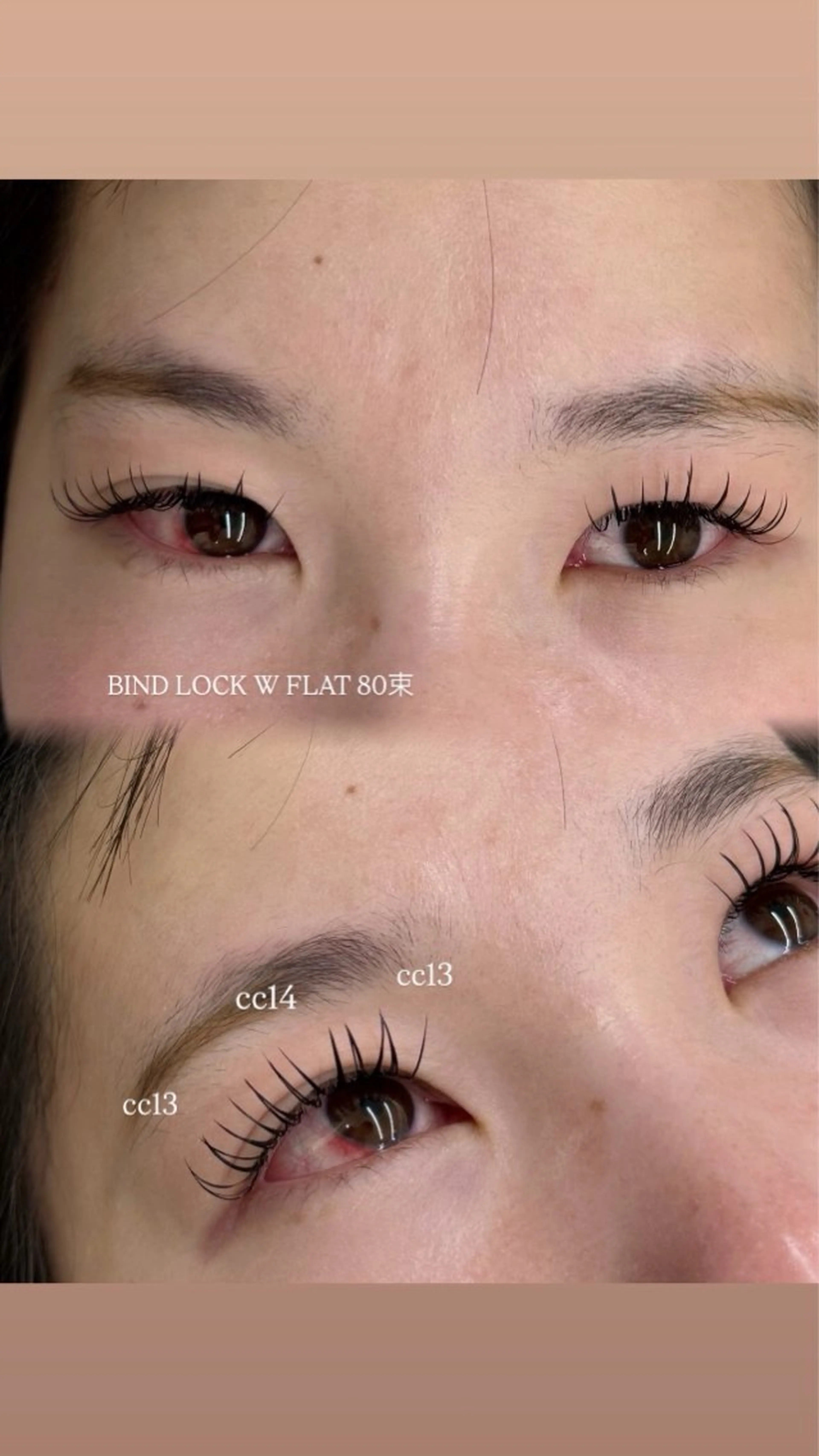 バインドロック　80束の写真