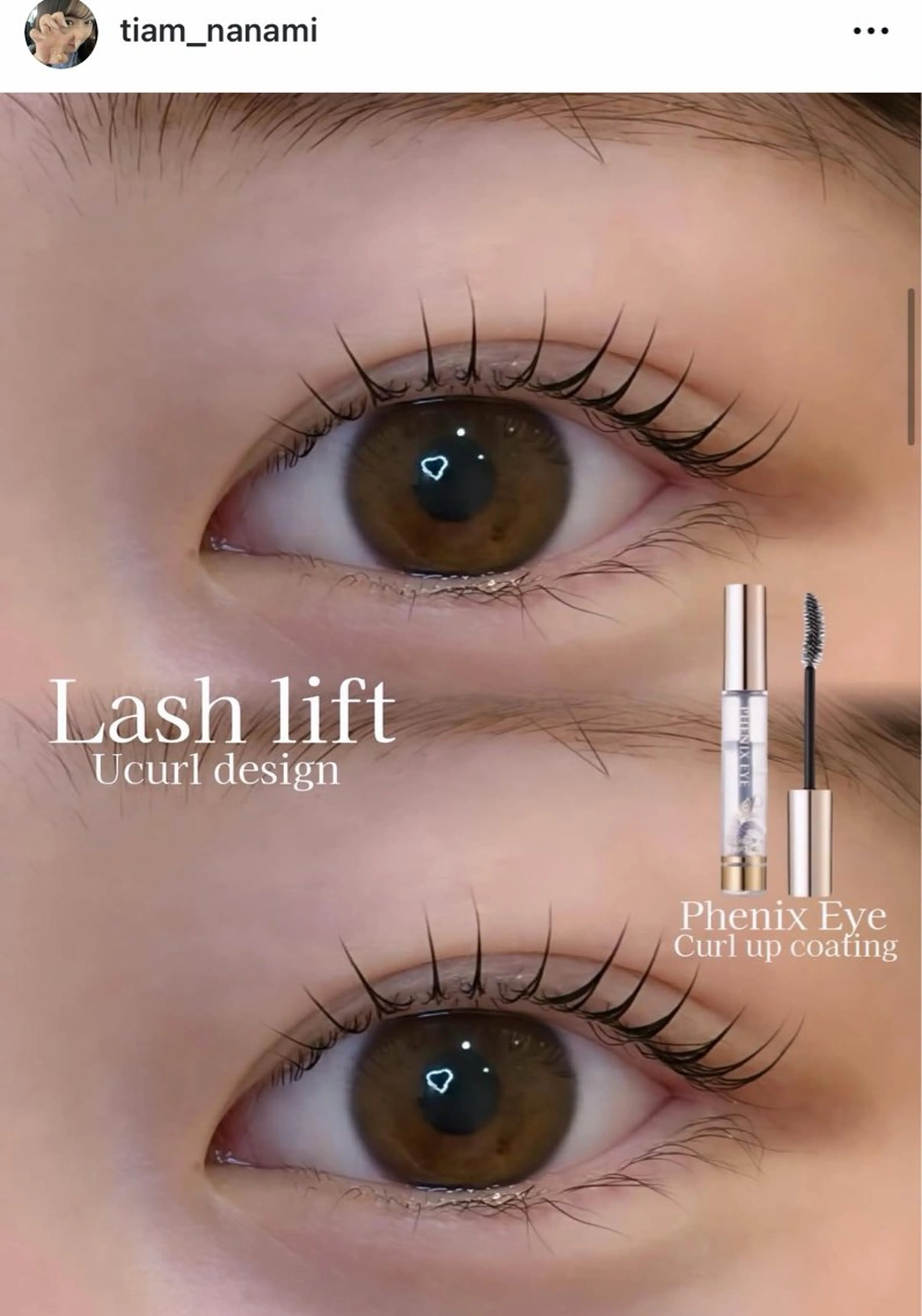 【6週間持続⭐️】4月限定‼️長持ちコーティング付まつげパーマ🎶➰💘🎀旭川で当店のみ🎀の写真