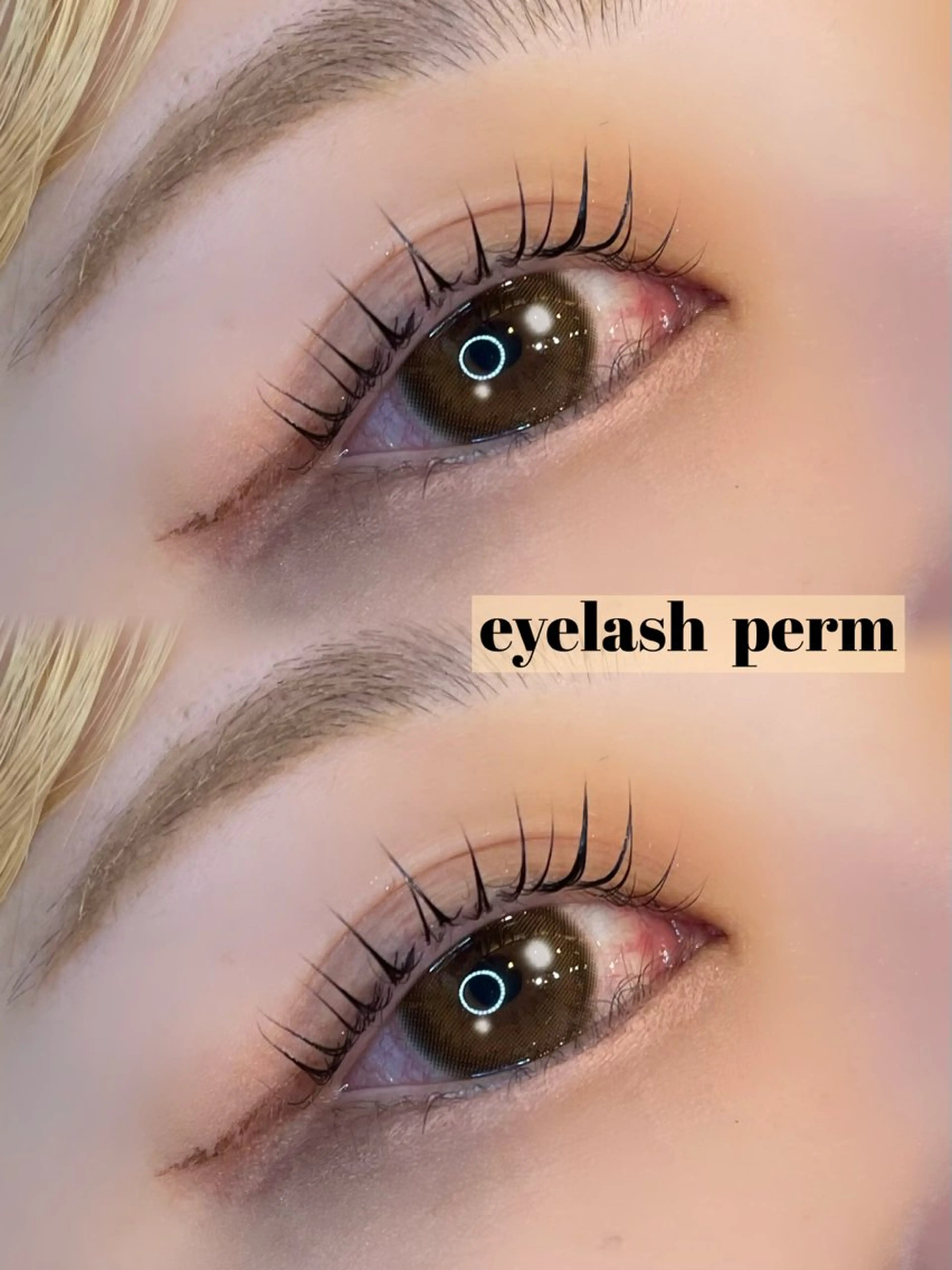 マツエク・マツパ マツパ 似合わせまつパ× 透け感カラー/ゆりのヘアスタイル