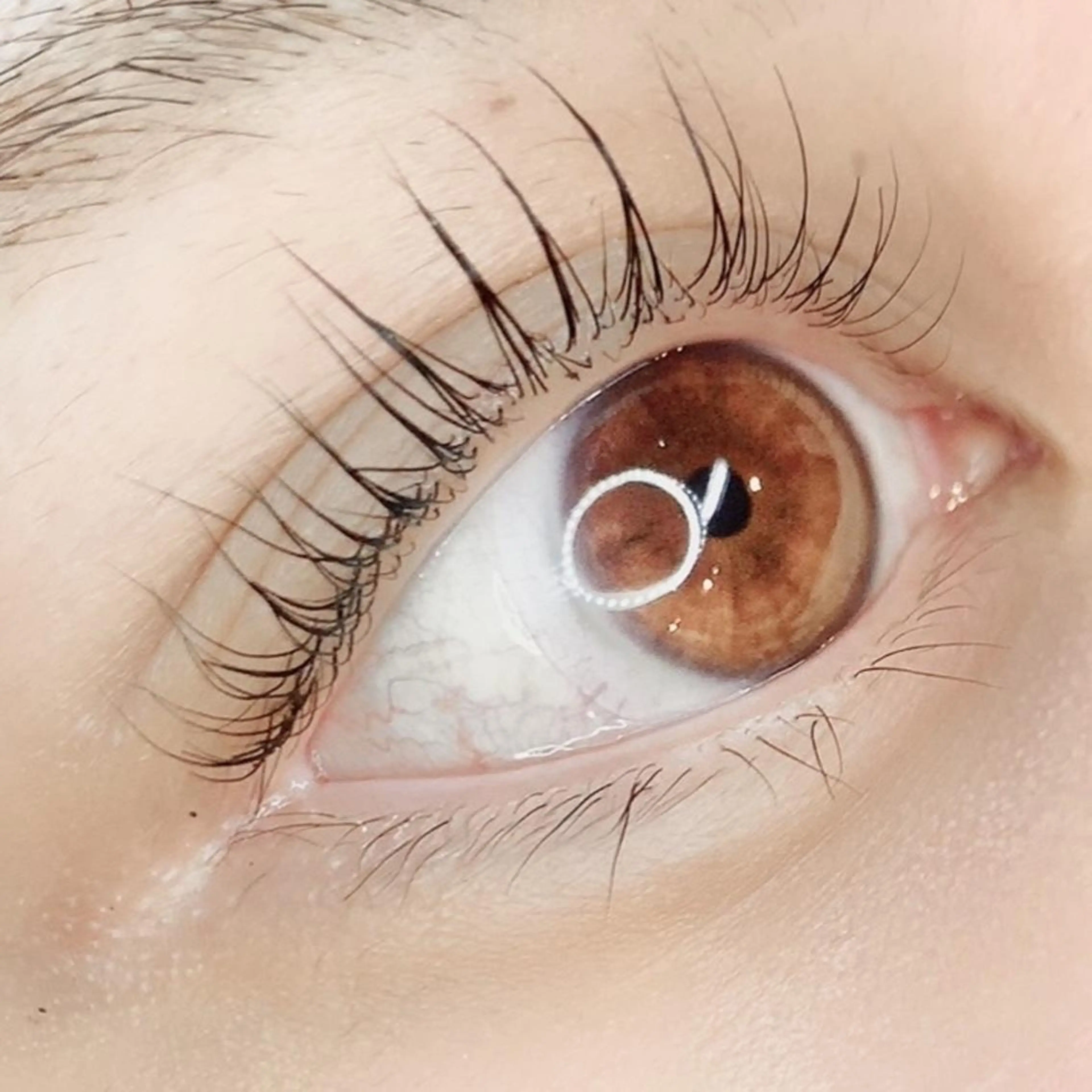 マツエク・マツパ マツパ 宮永あゆ まつパ/美眉/恵比寿のマツエク・マツパデザイン